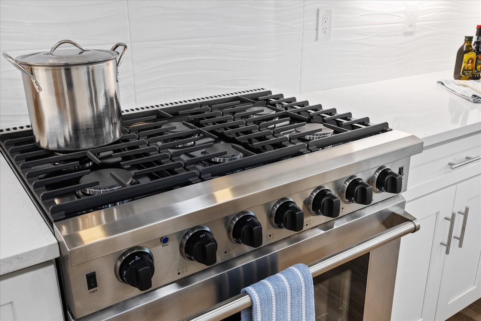 Gourmet propane/gas range