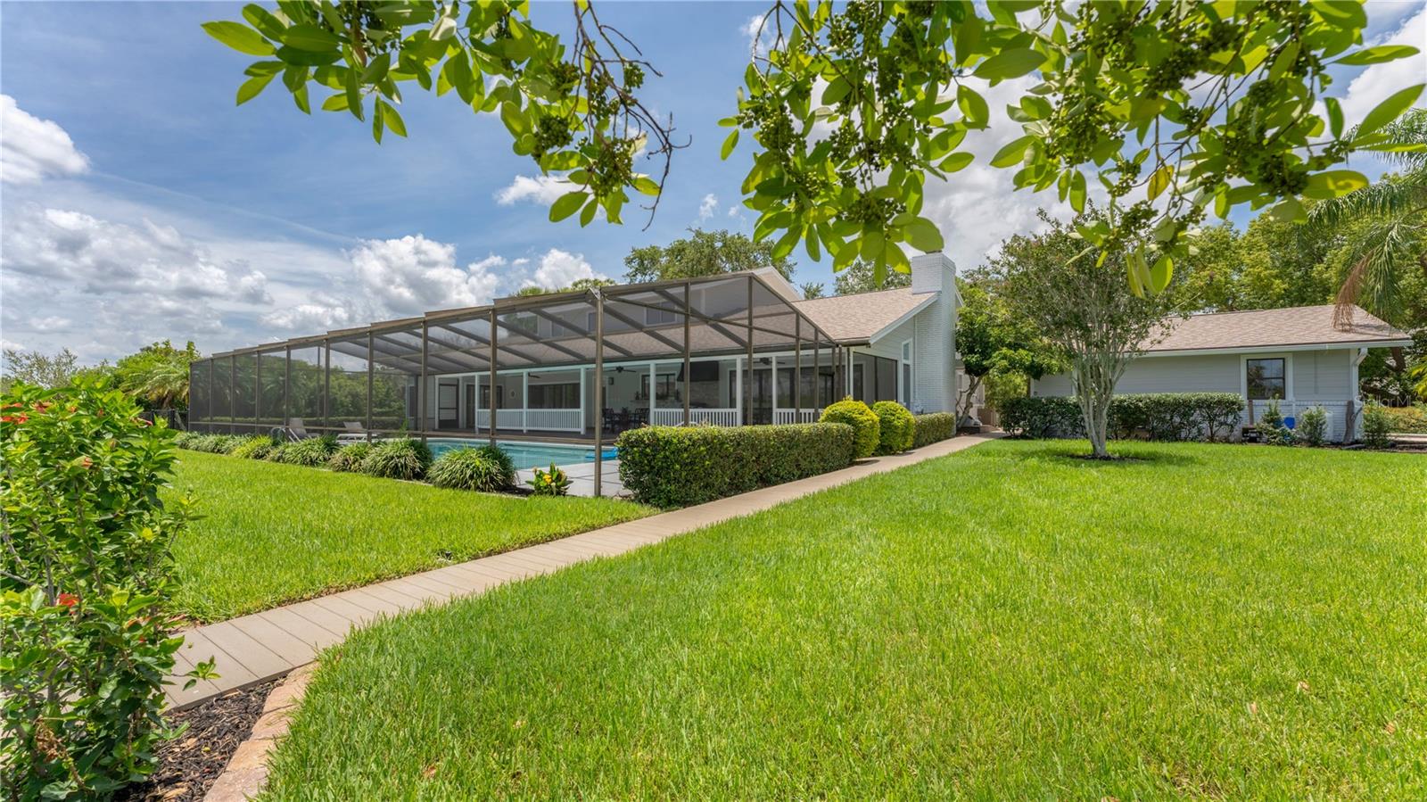 Backyard lawn