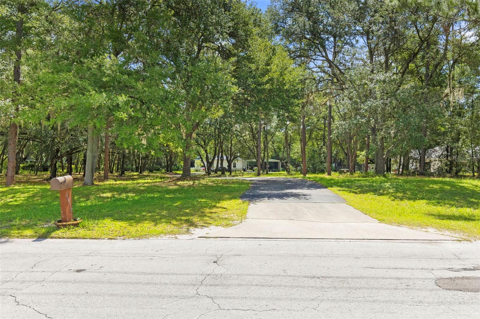 Front Driveway