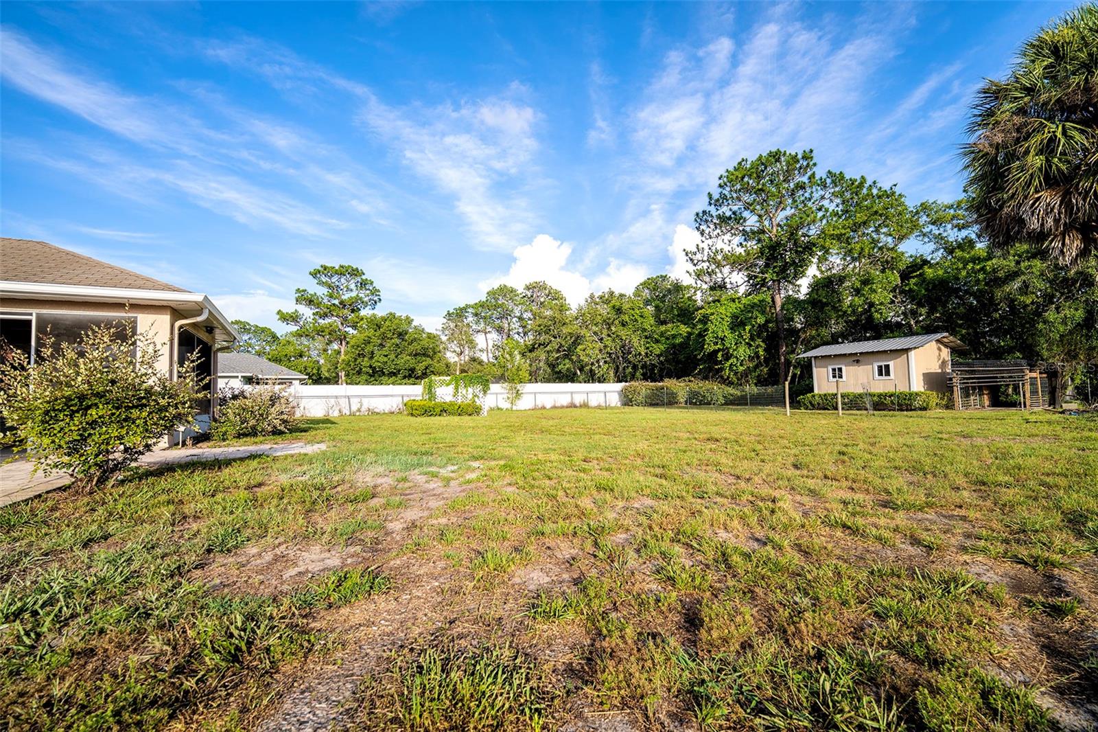 Backyard
