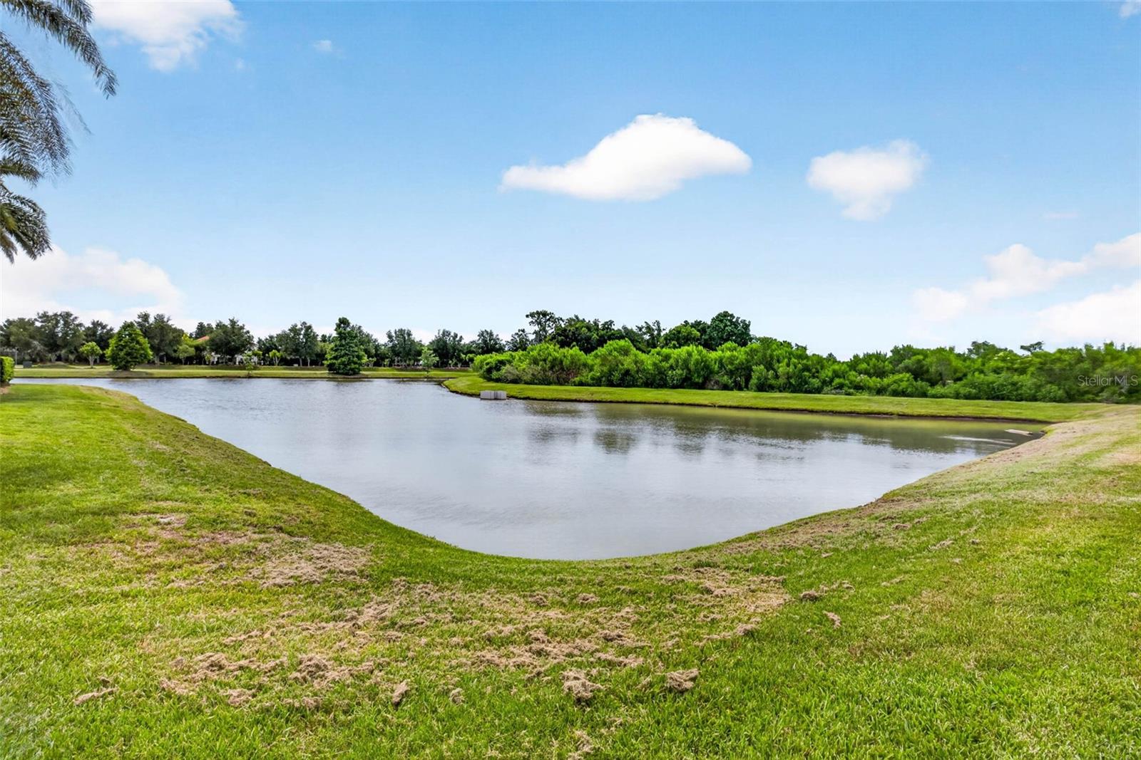 Outdoor pond with no rear neighbors.