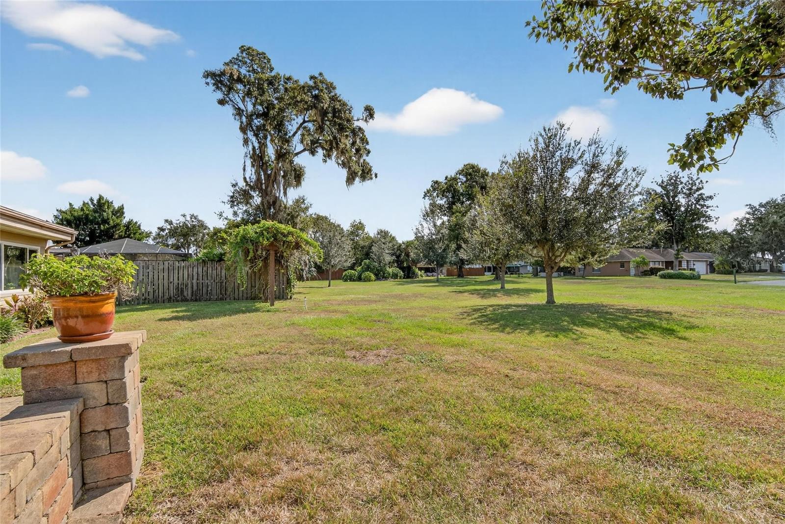 Backyard