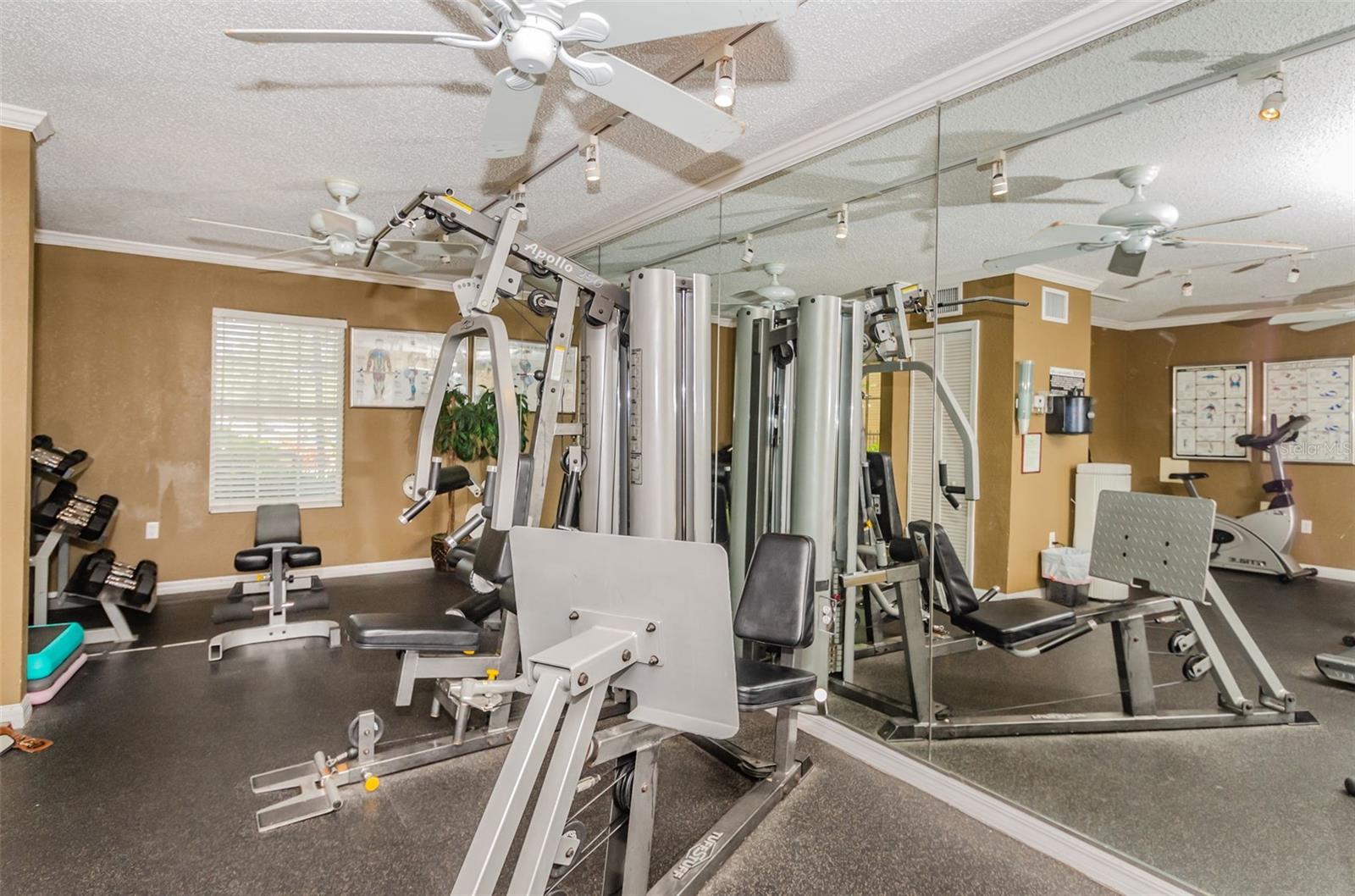 Weight and fitness room