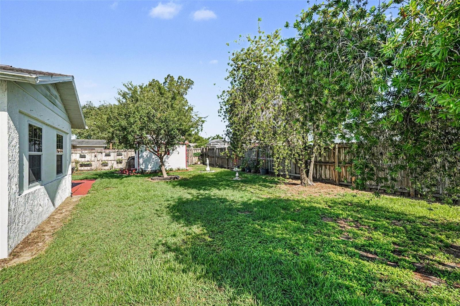 Backyard