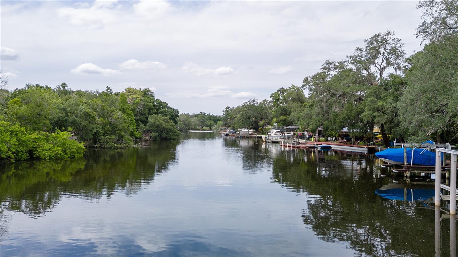 A quick ride up the river and you can be at Armature Works or Downtown Tampa along the Riverwalk