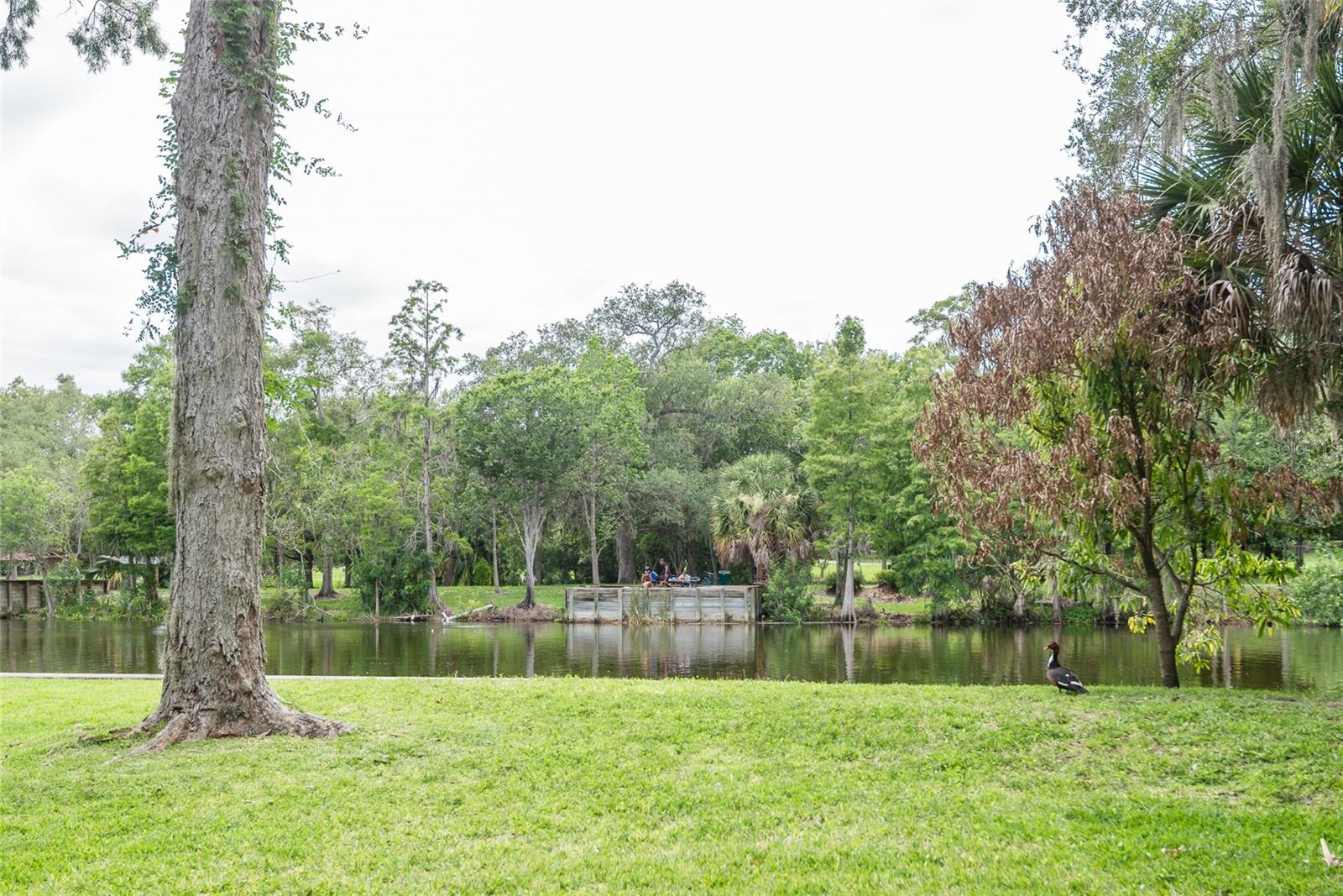 Lowry Park is directly across the river, natural views instead of other homes.