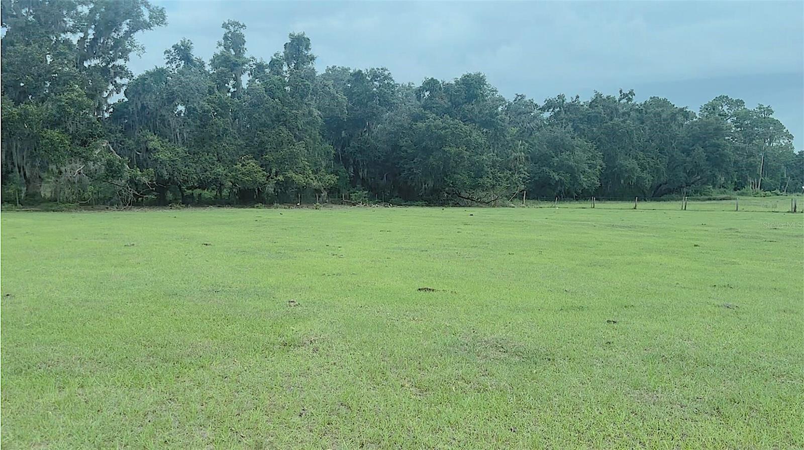 O6414503