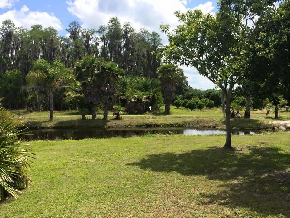 Fantastic Backyard . Walk or jog around your own private pond.