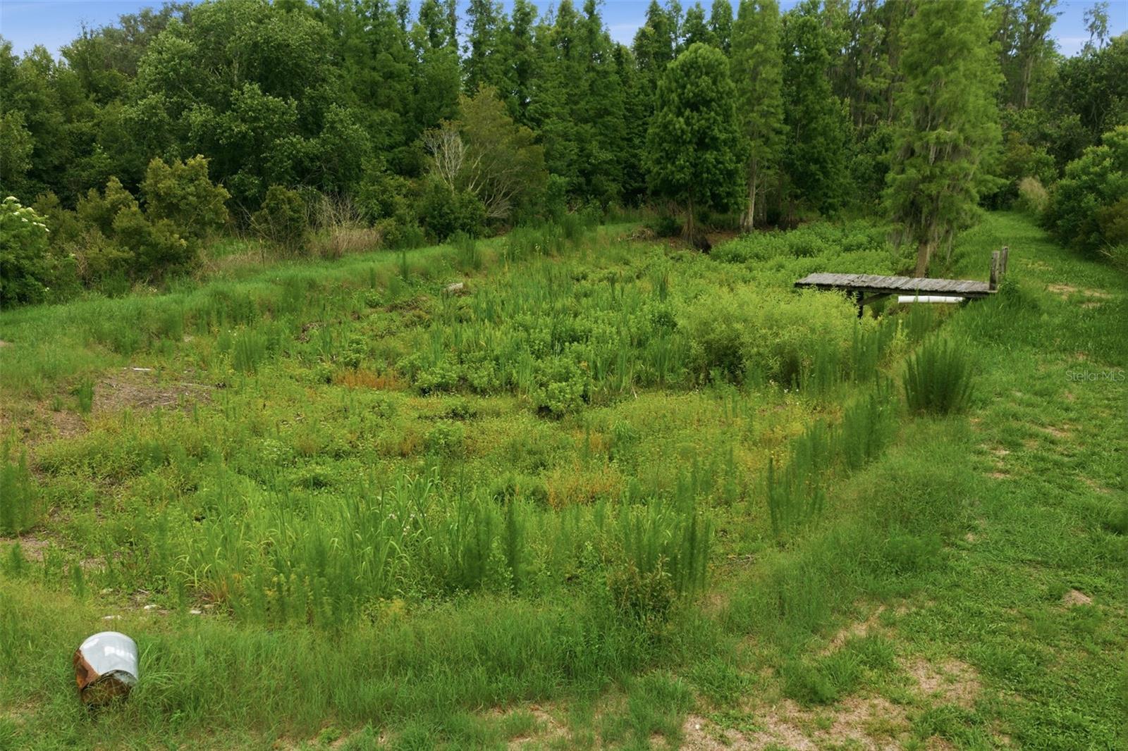 Pond when dry.