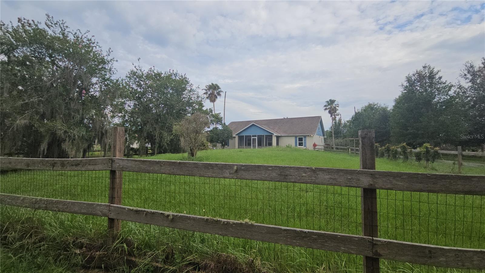 front yard. wooden fence separates the yard from the TREE rows.