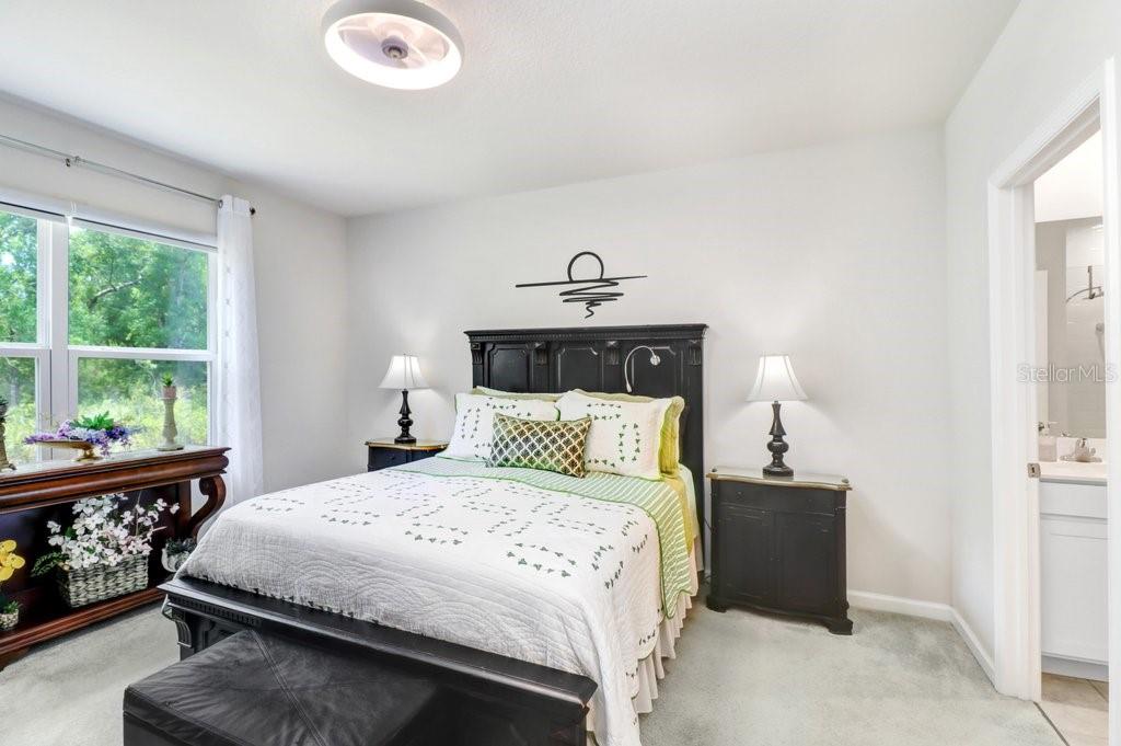 TB8516479
