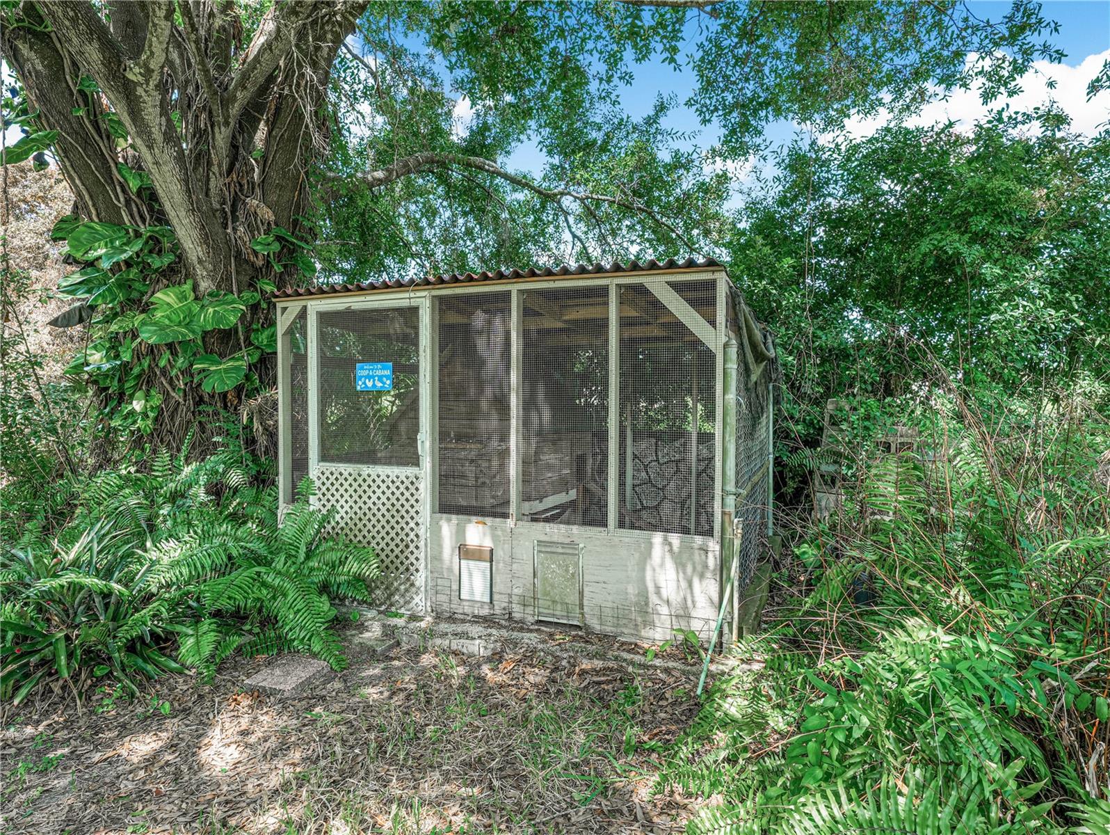 10x10 chicken coop
