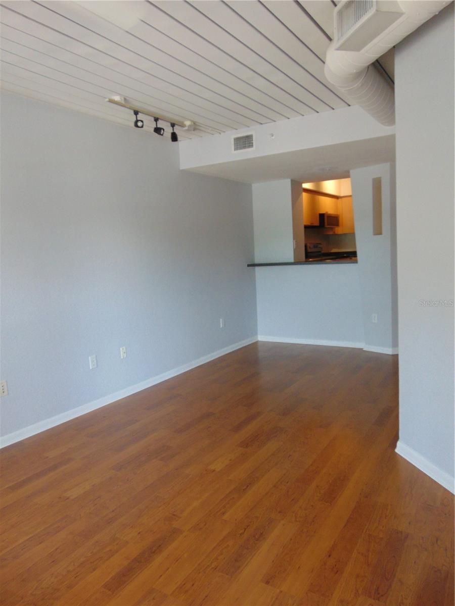 Living Room/ Dining