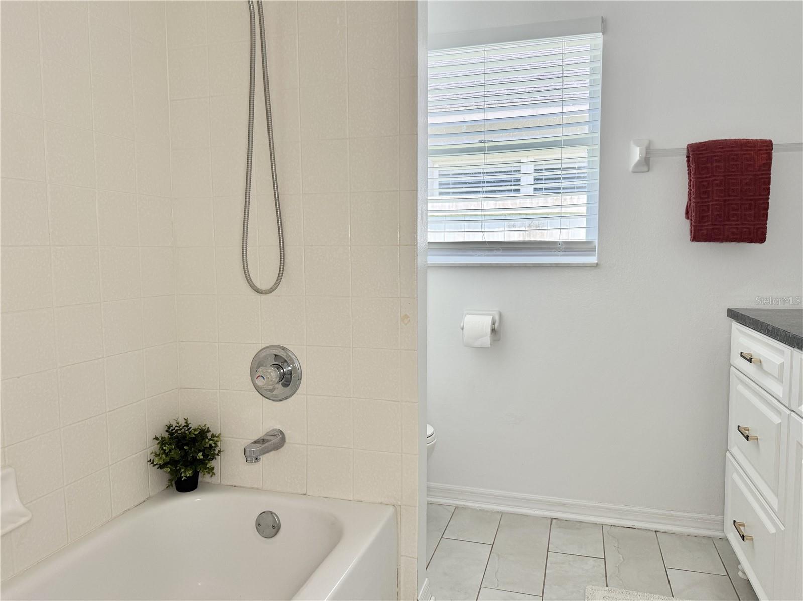 Full Guest Hallway Bath