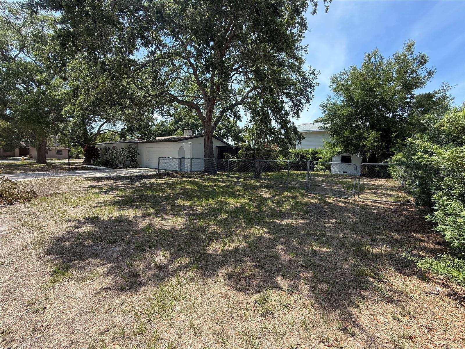 TB8516591