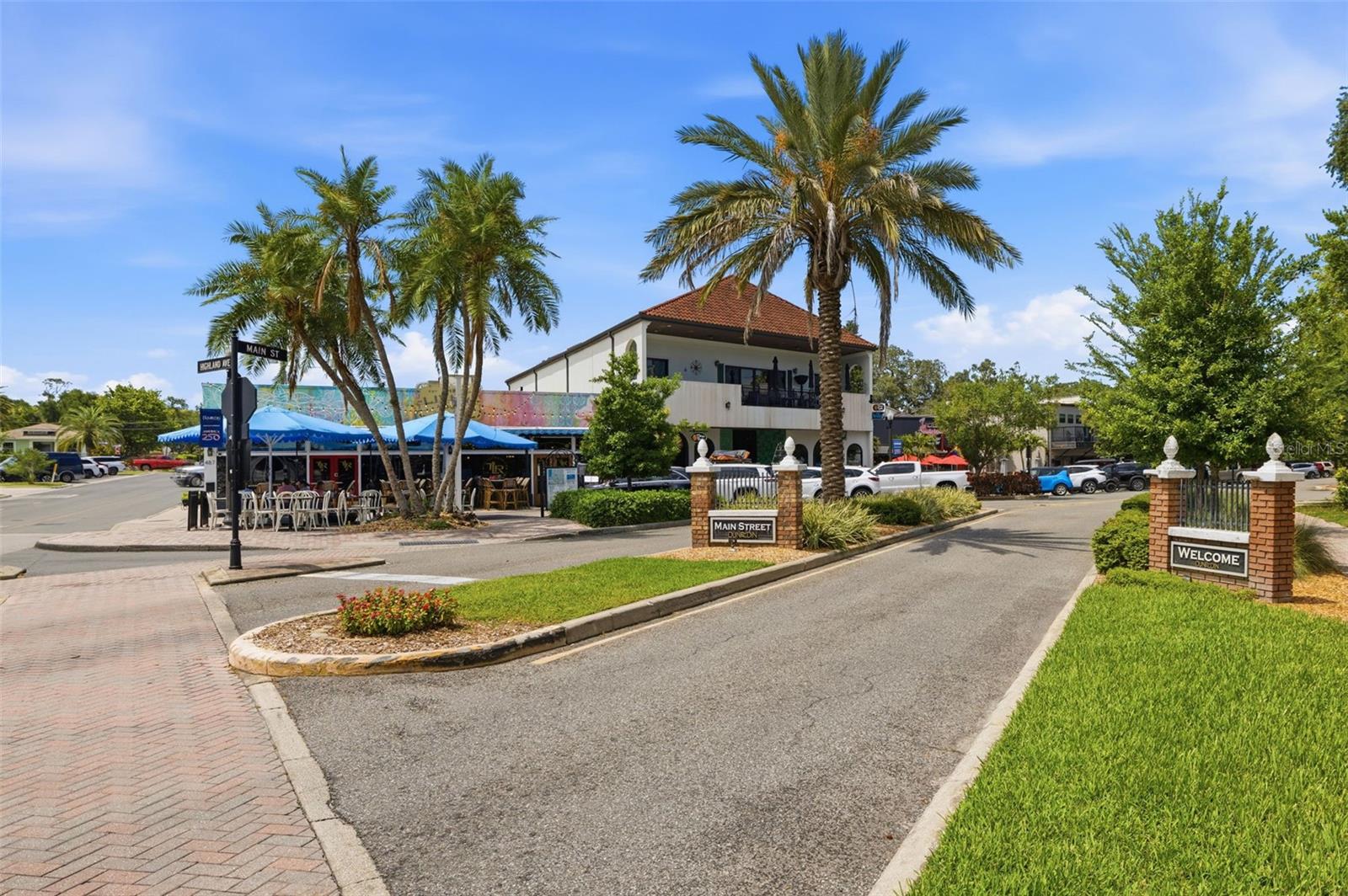 Dunedin Main Street