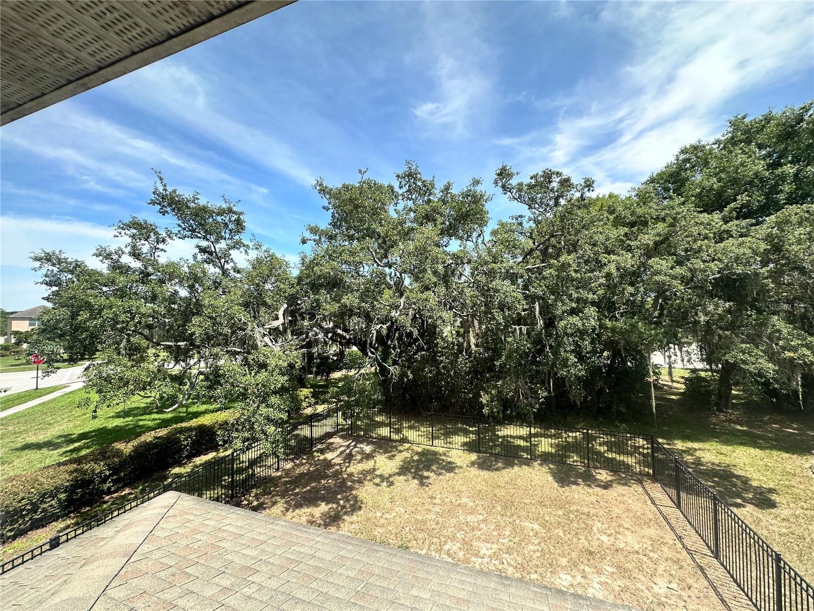 back yard