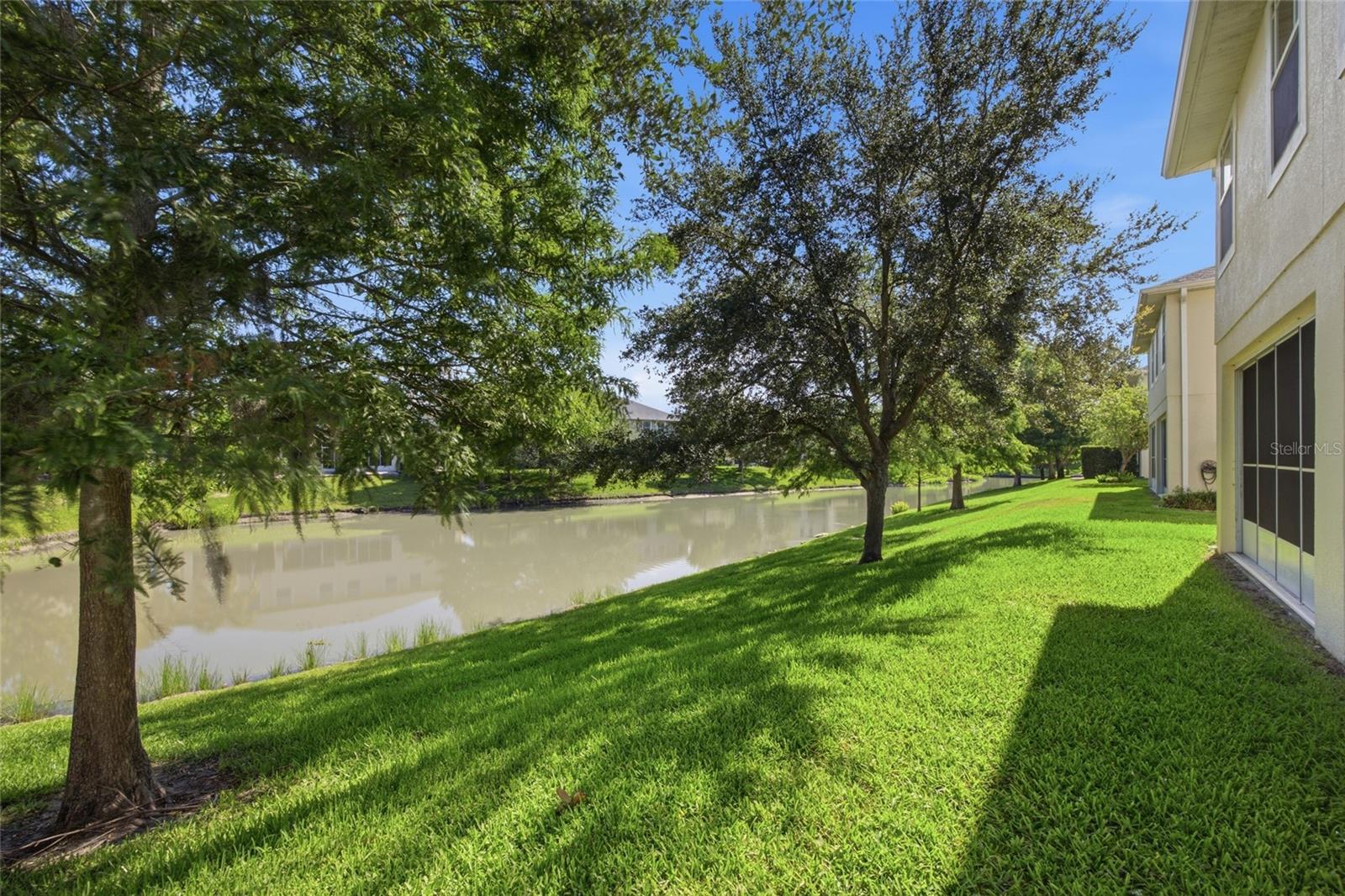 Pond view