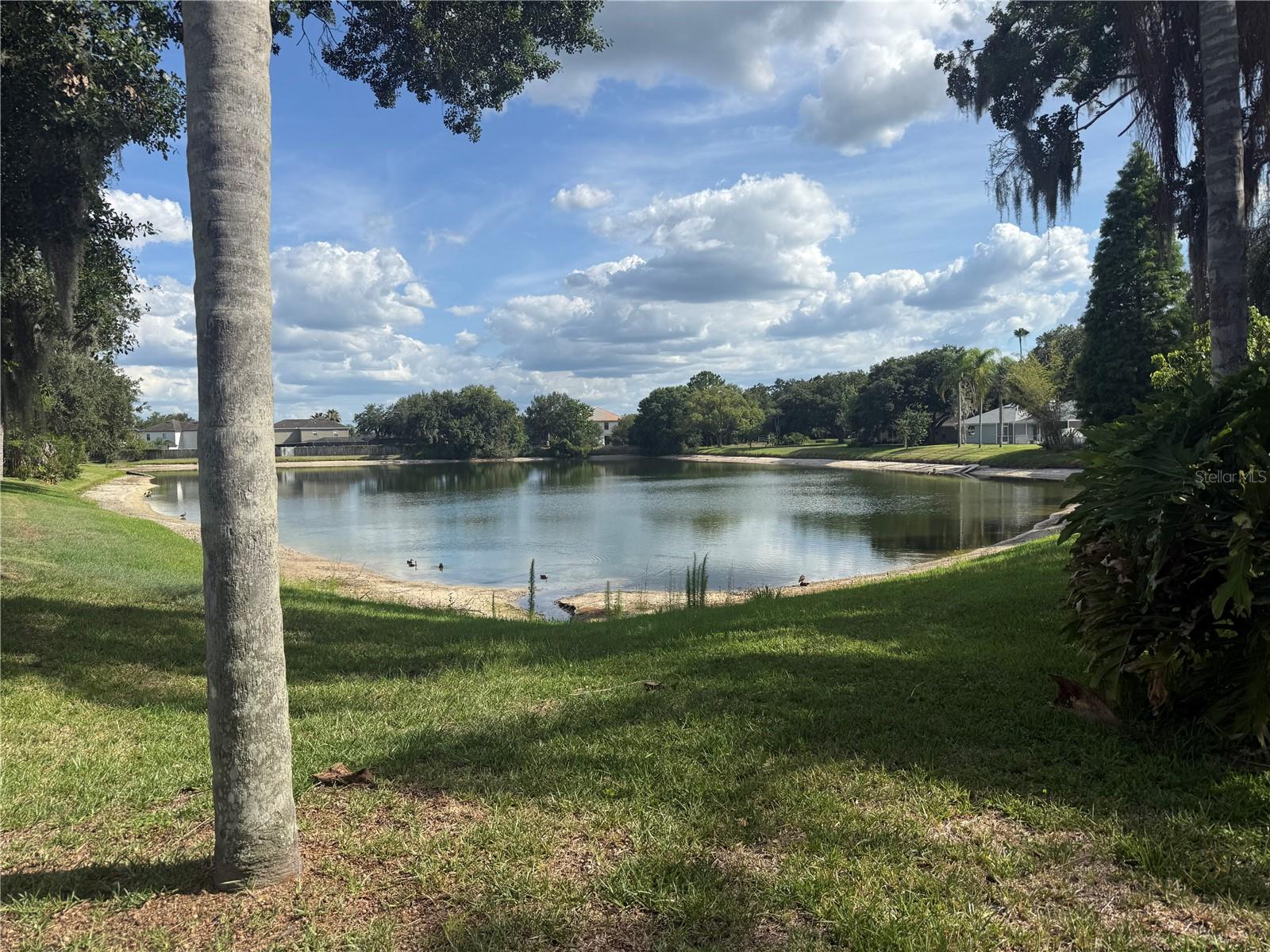 view of pond