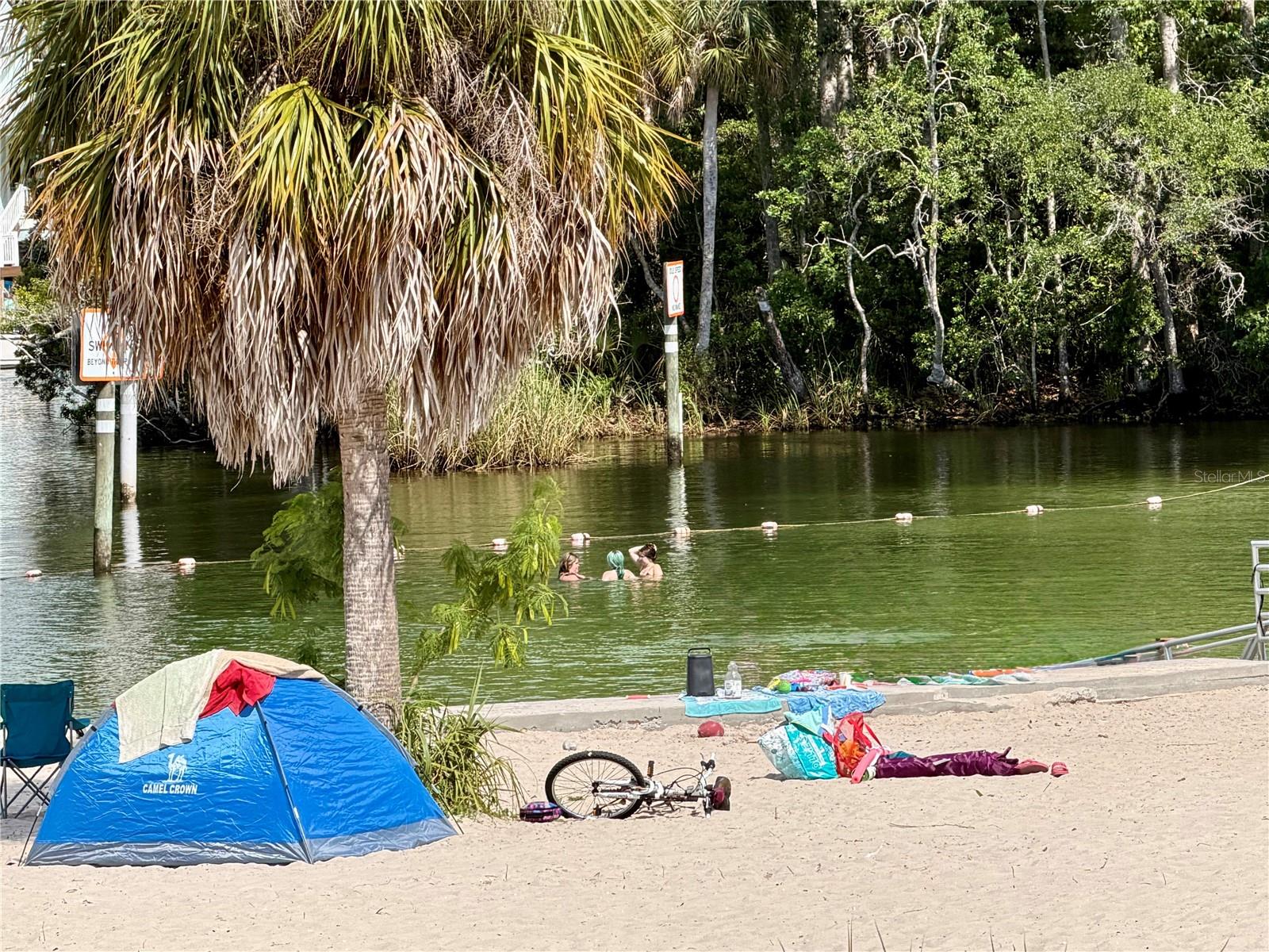 Down the street - beachy area on the Weeki Wachee River.