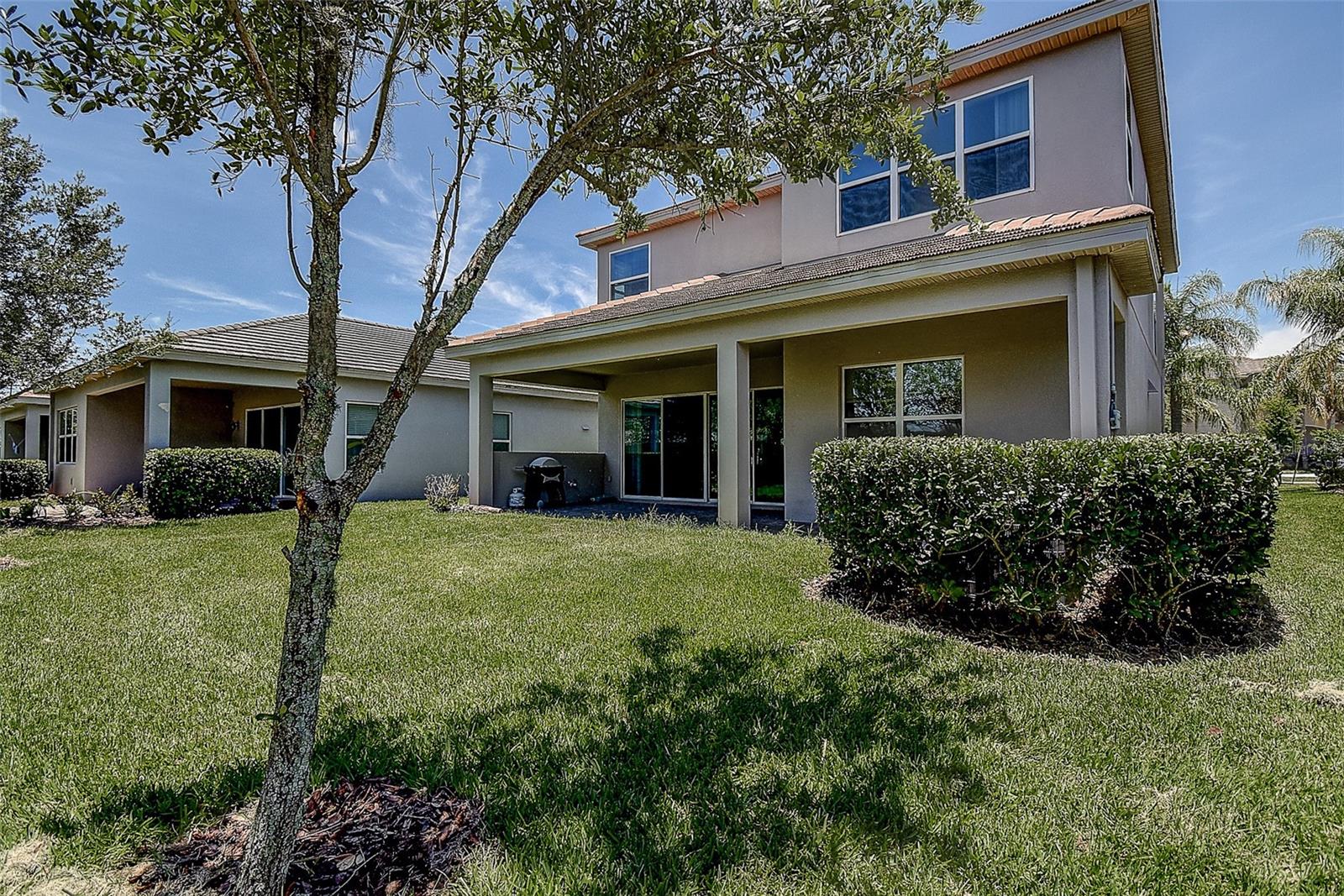 Backyard exterior