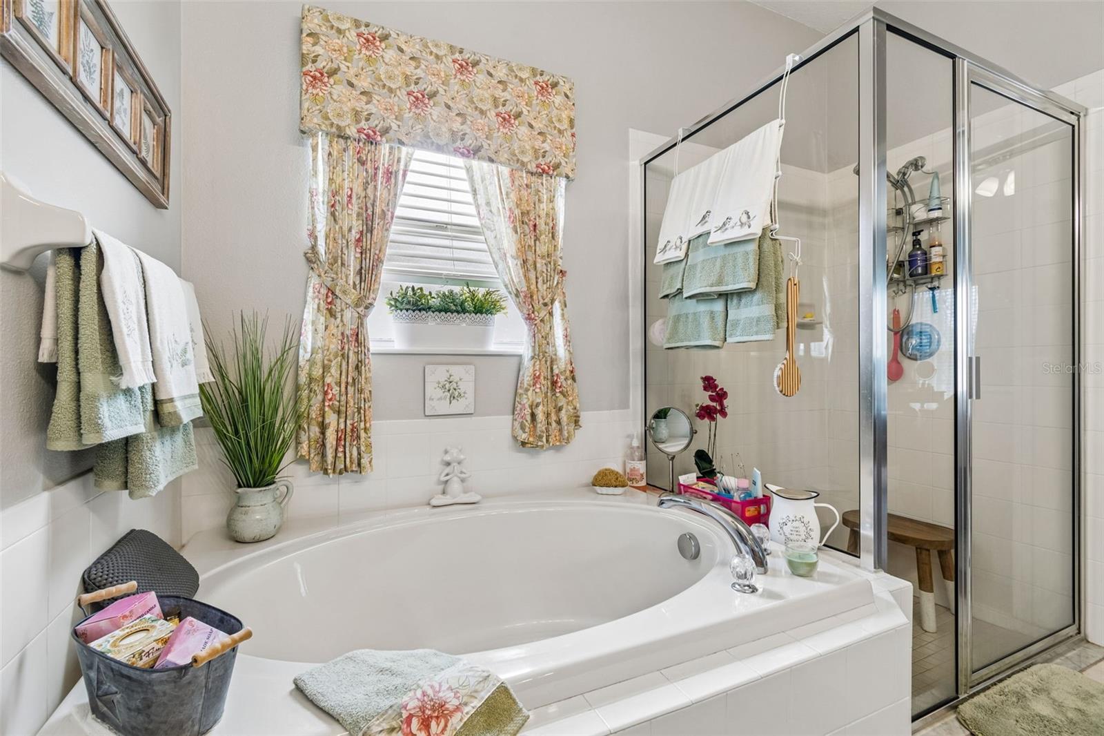 Garden tub and separate shower
