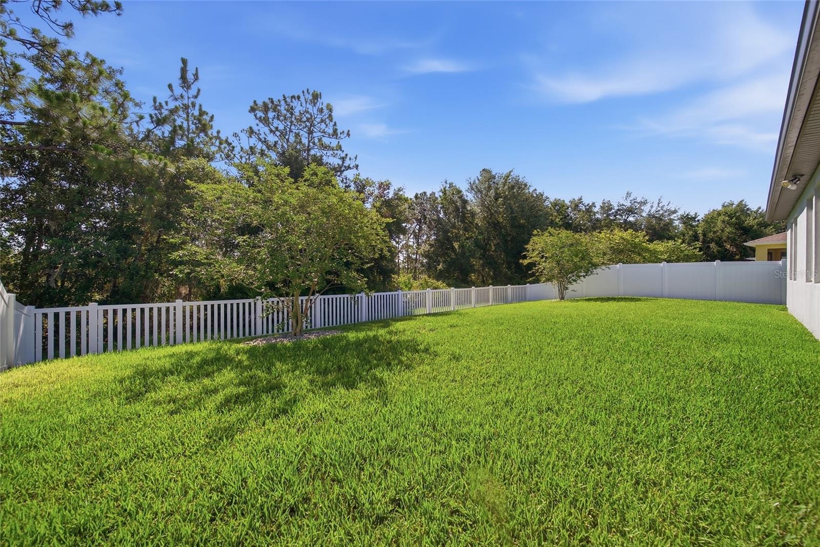 Oversized Fenced Yard