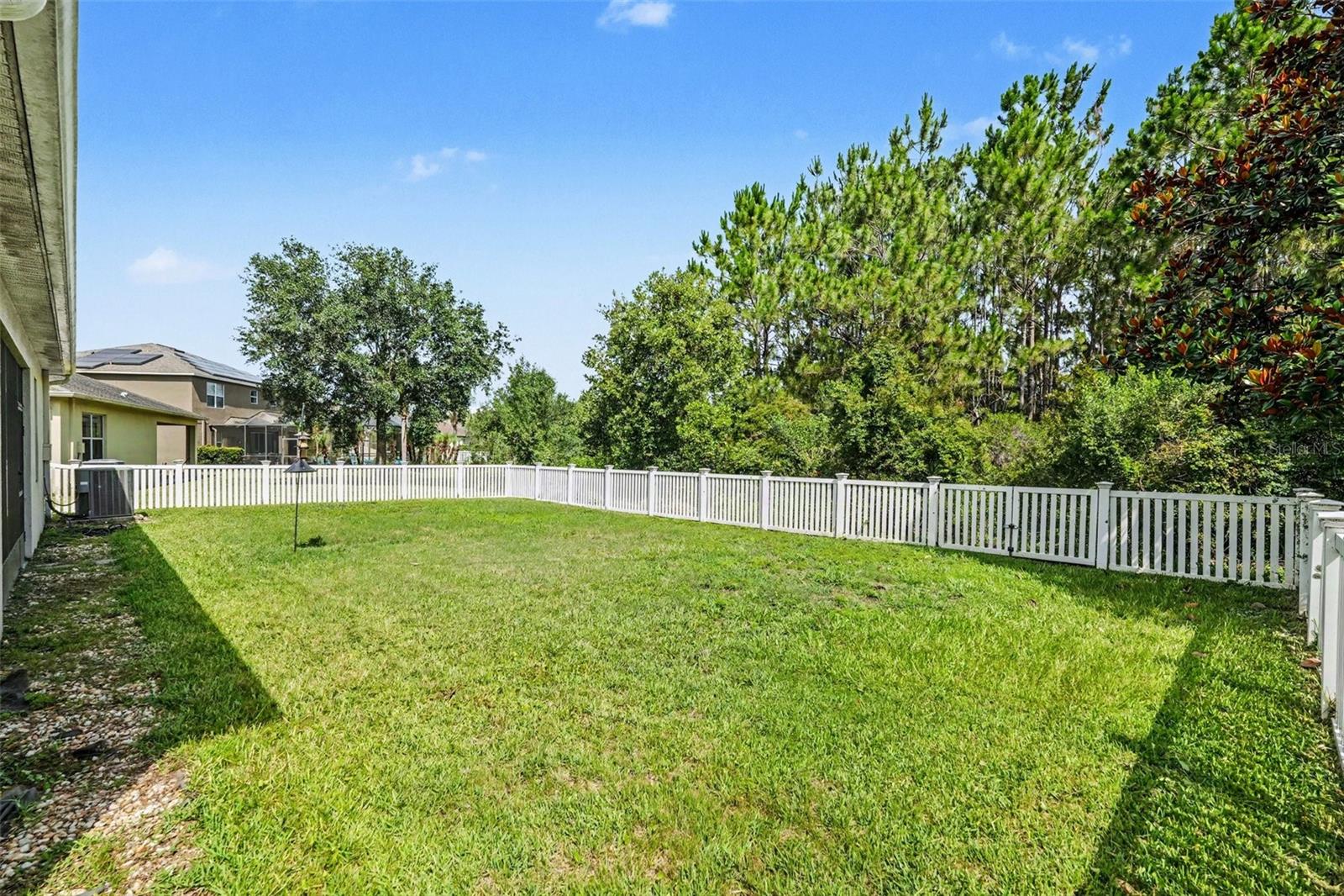 Private fenced backyard with green lawn, white vinyl picket fence, conservation tree buffer along rear, and screened lanai at left in Tampa FL 33647