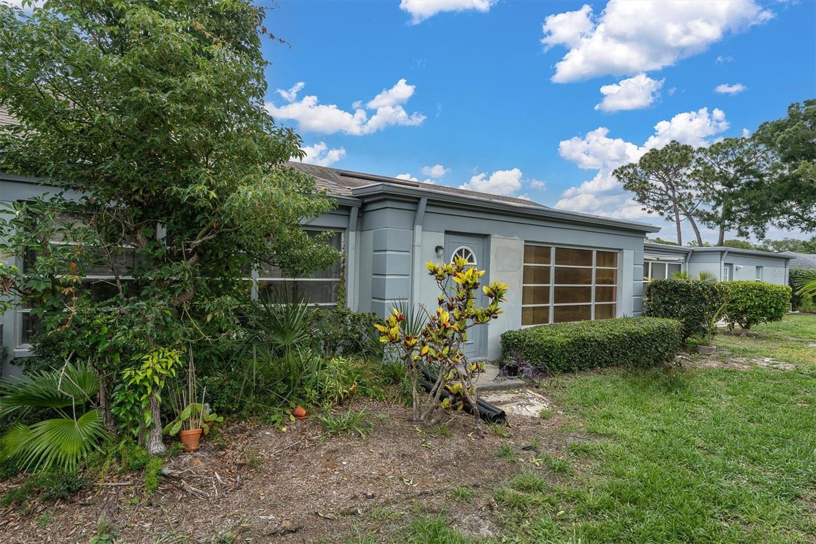Back door/landscaping