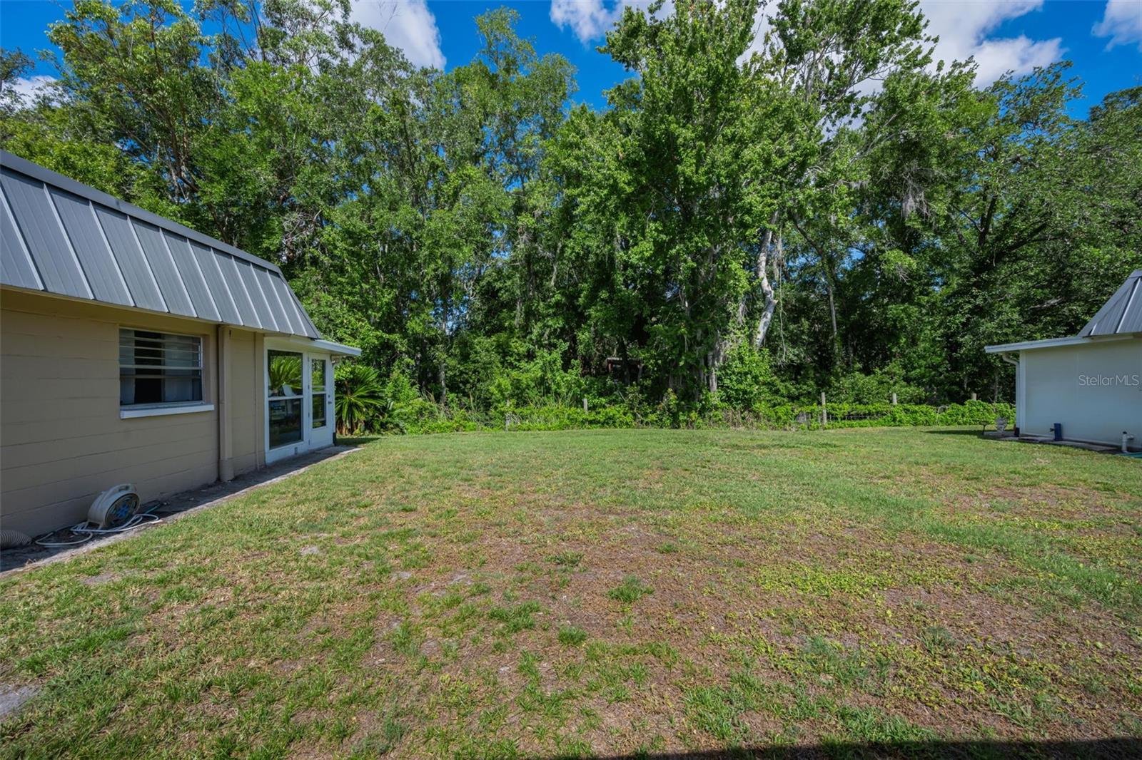 View From Florida Room