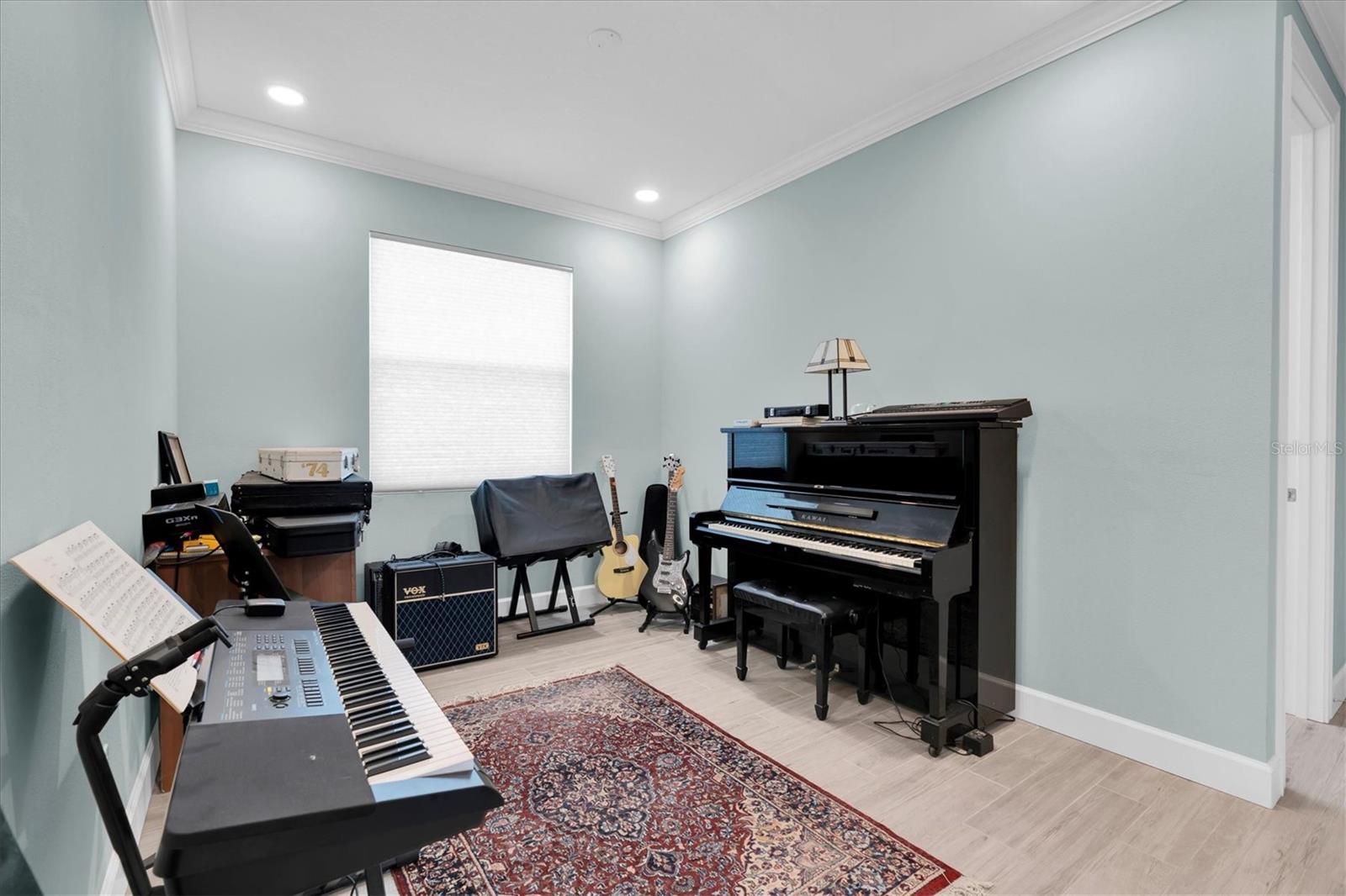 Bonus/Flex room