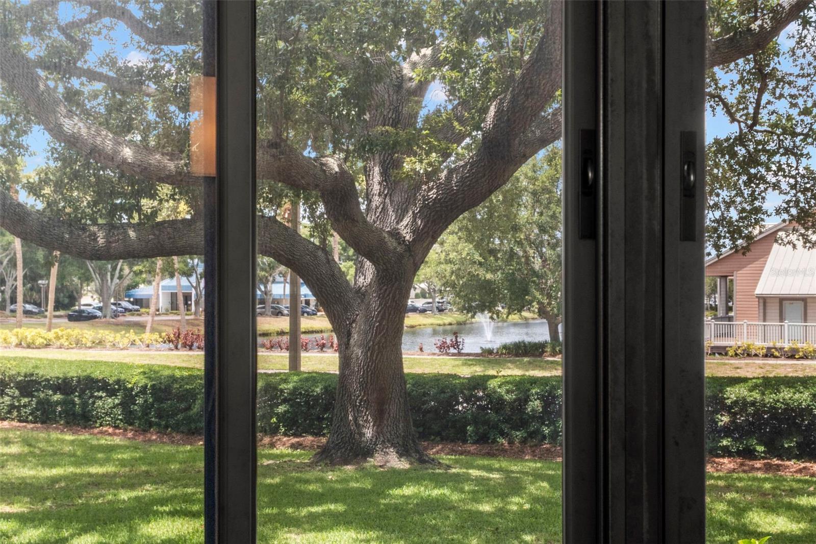 Scenic views of mature oak trees, manicured grounds, and a tranquil pond with fountain.