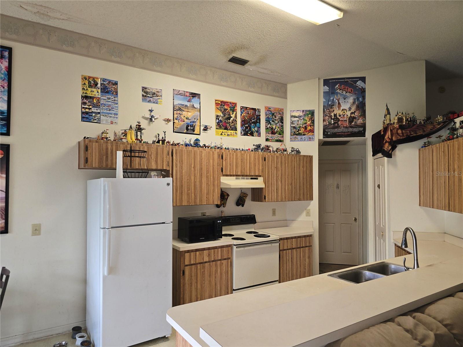expansive kitchen. lots of cabinets
