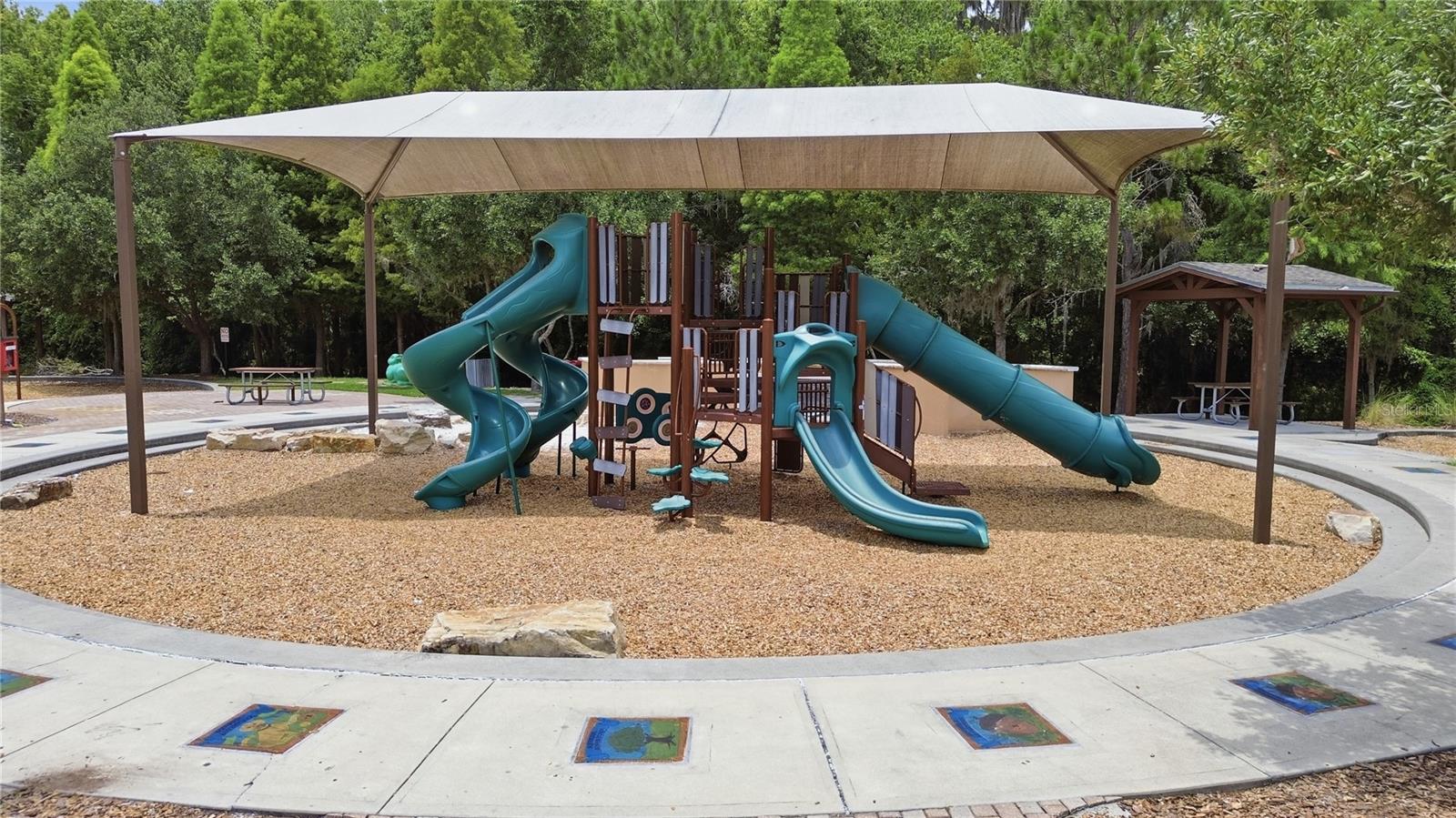 Resort-Style Amenities