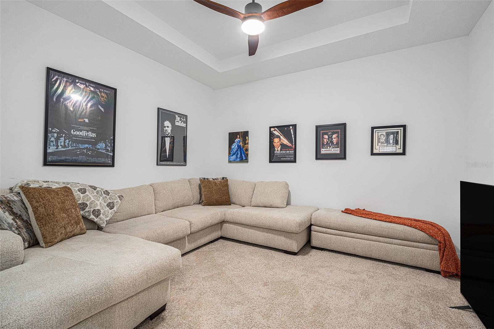 Media/Movie Room
