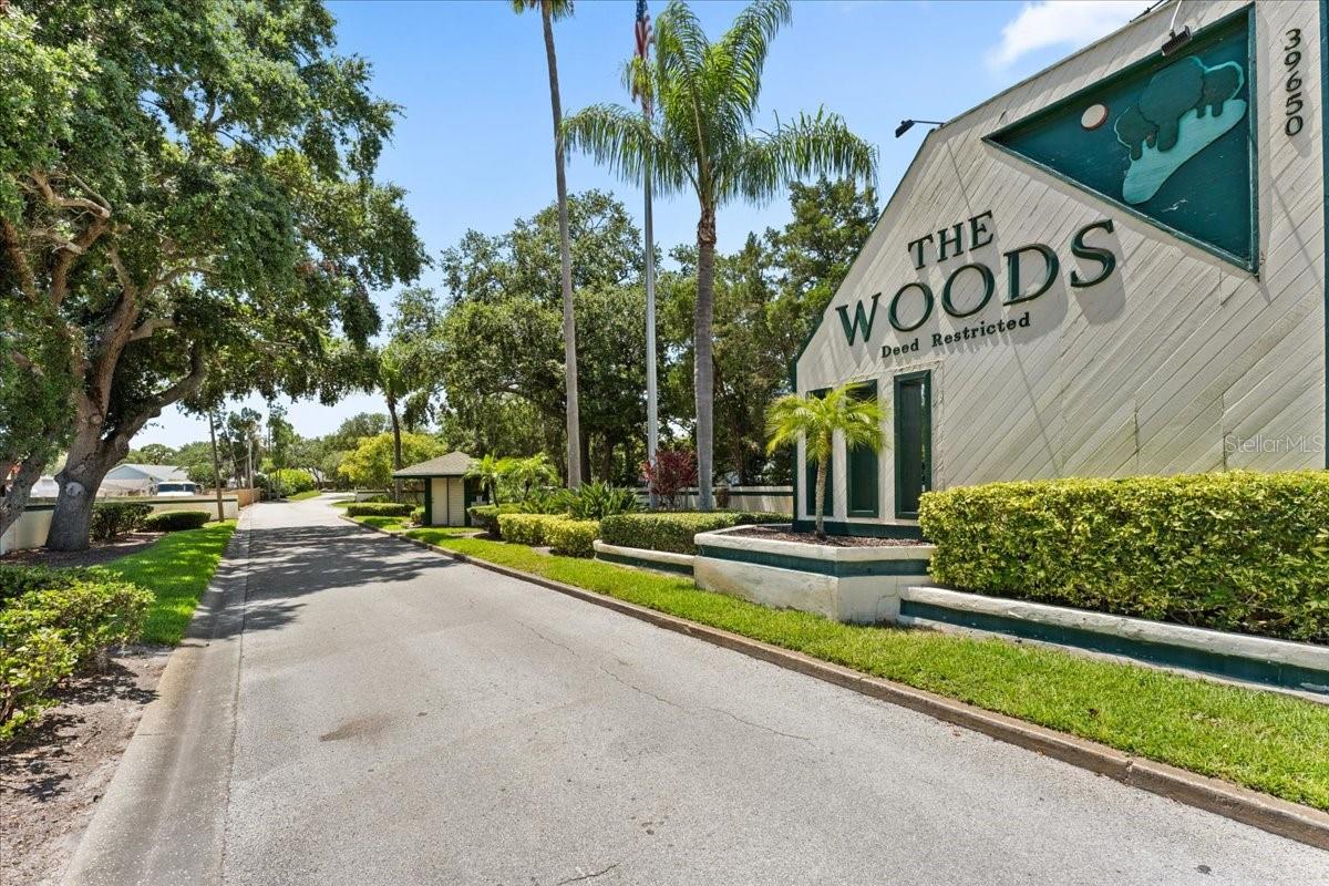 The Woods Entrance