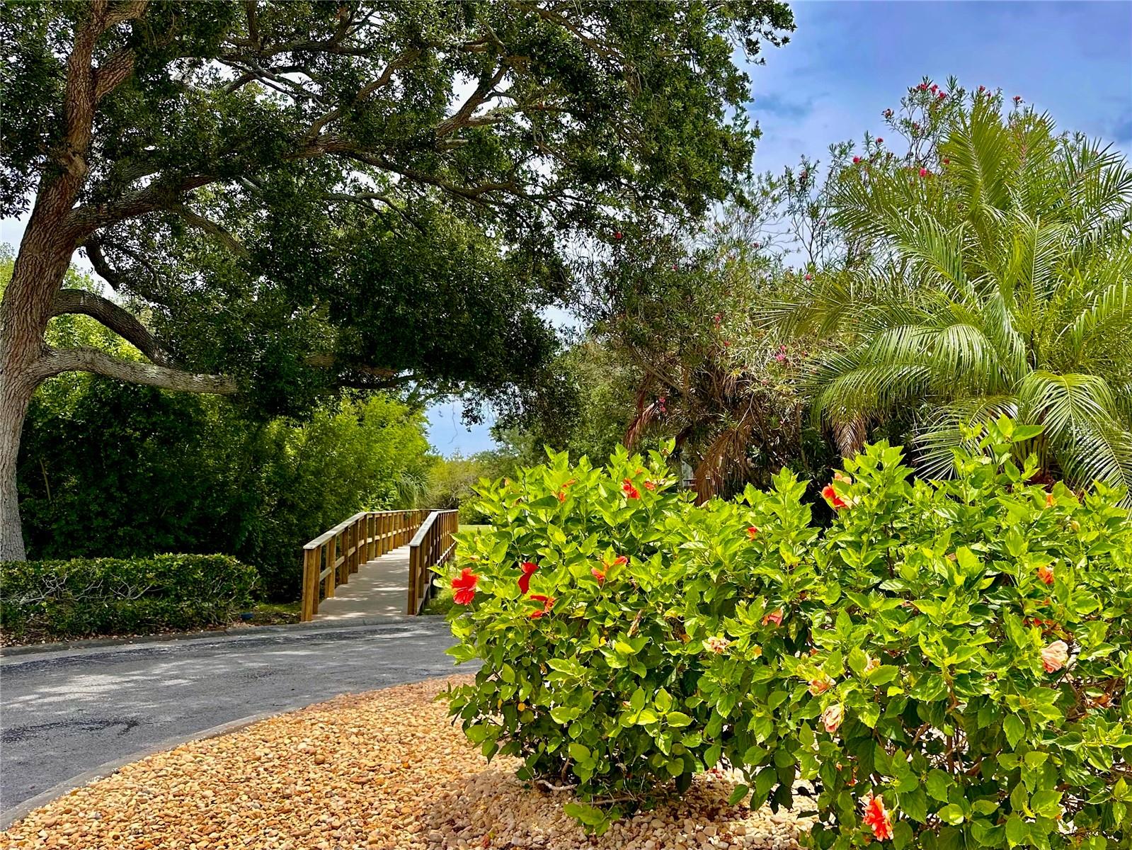 Community boardwalk trail to dock