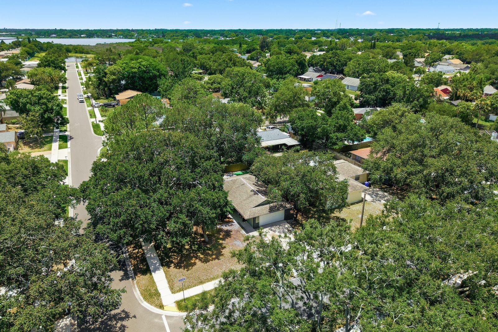 Property Elevation