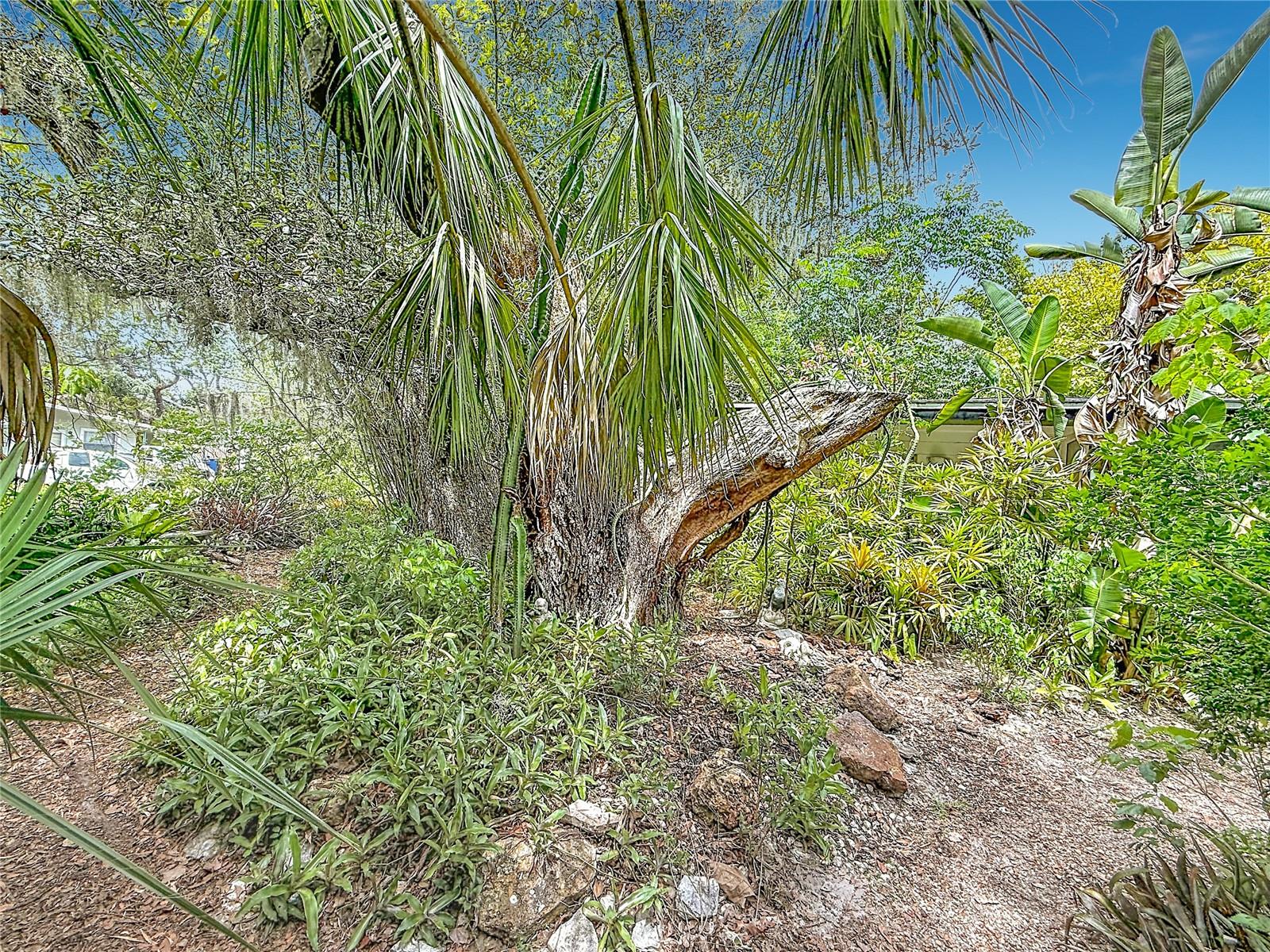 L4962583