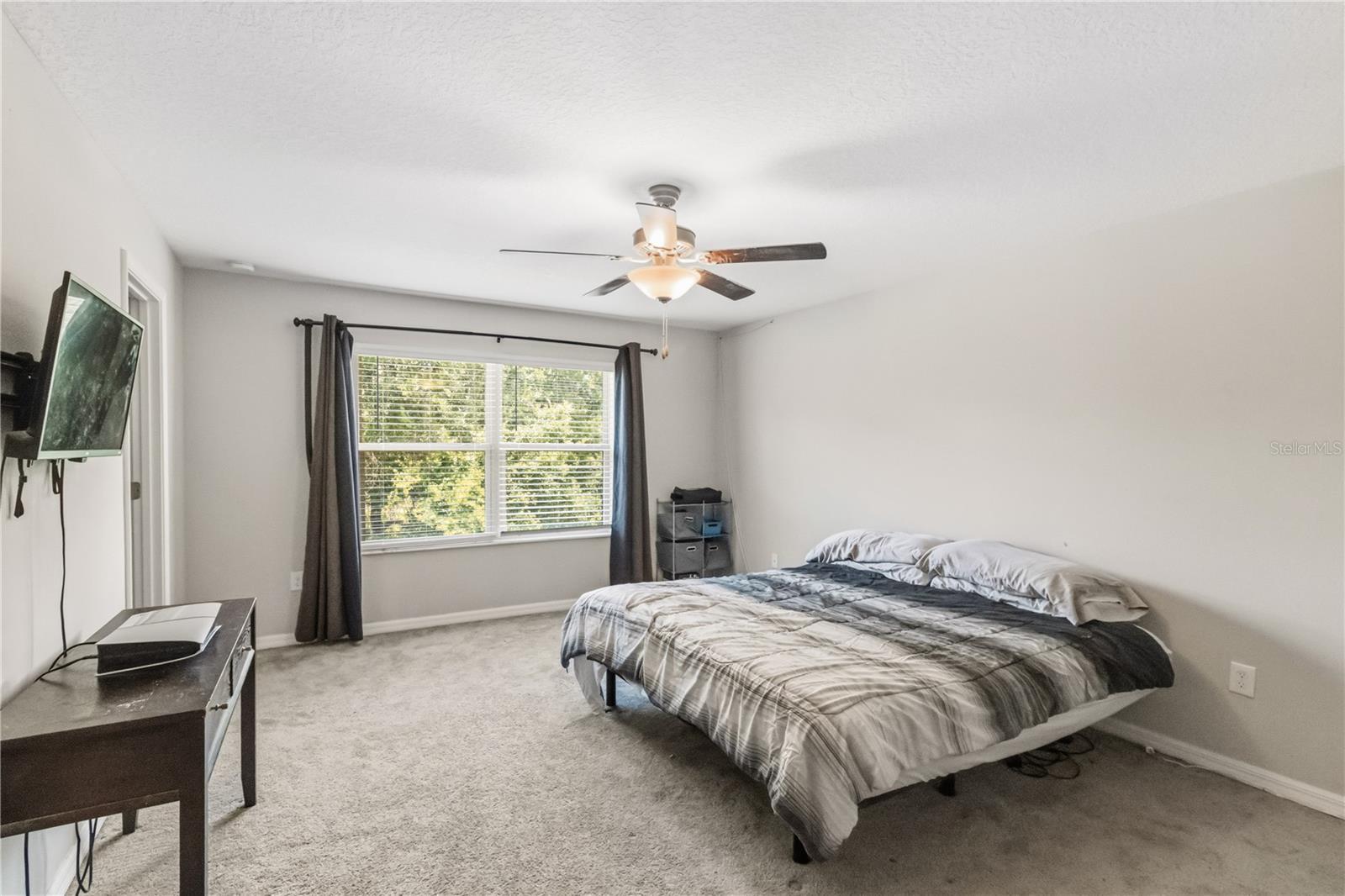 Primary bedroom with natural light