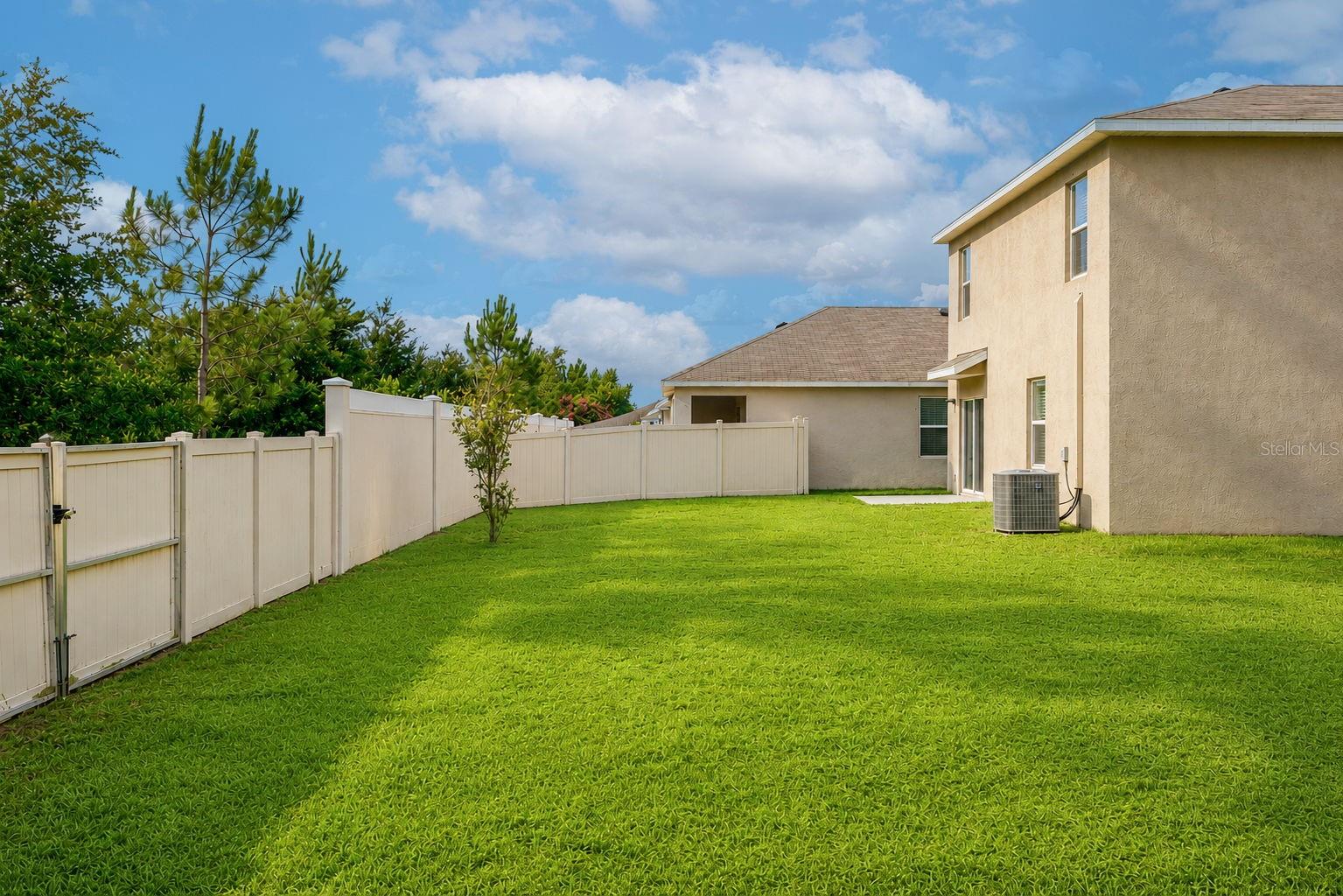 Backyard