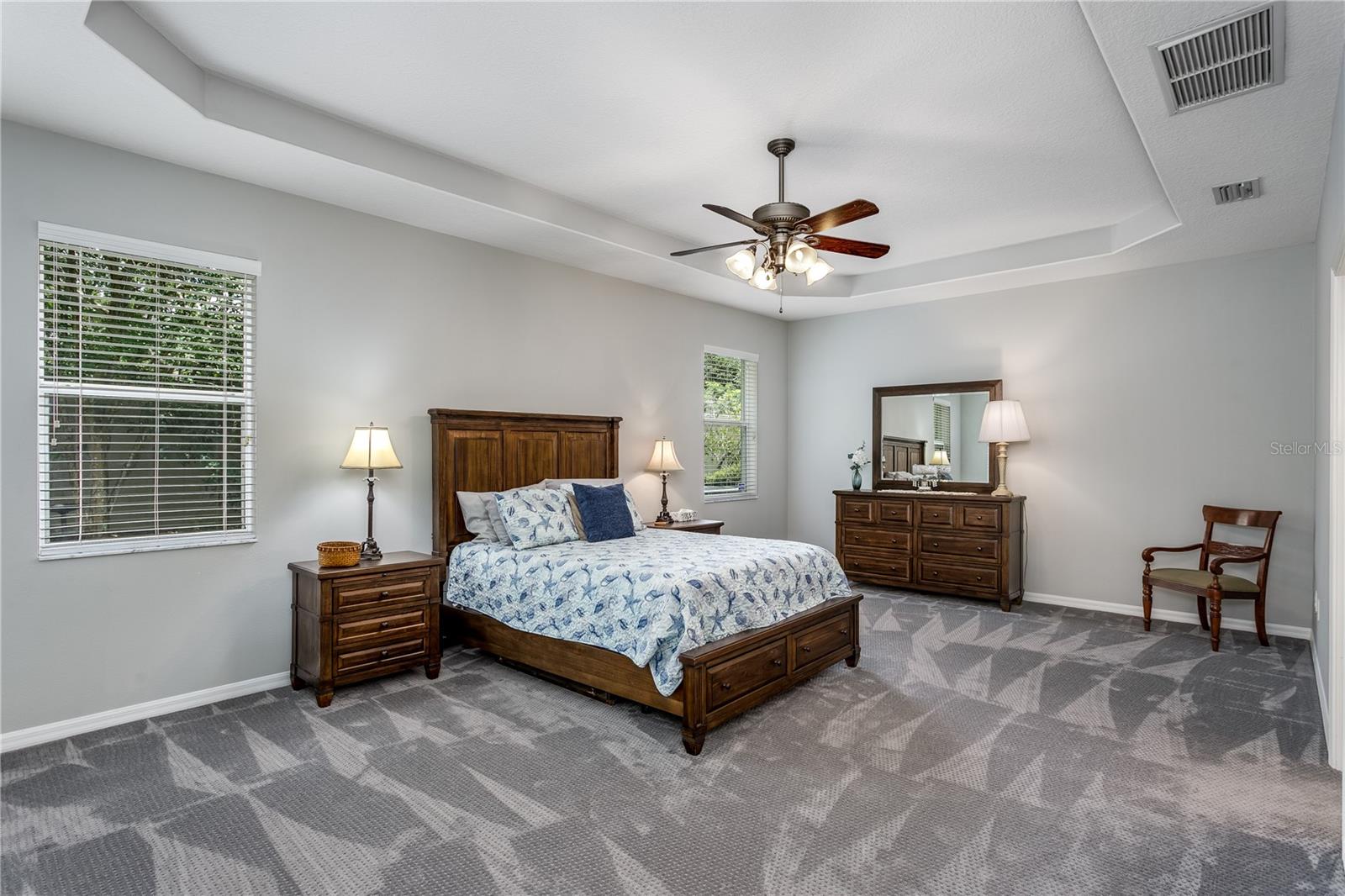 Master bedroom with tray ceiling