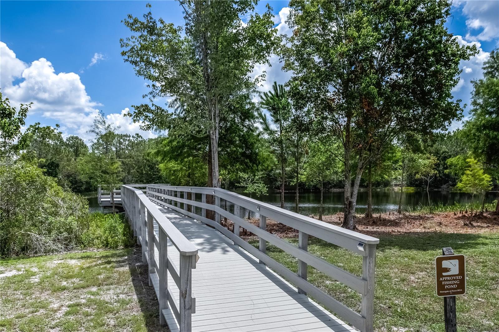 Community pond fishing area