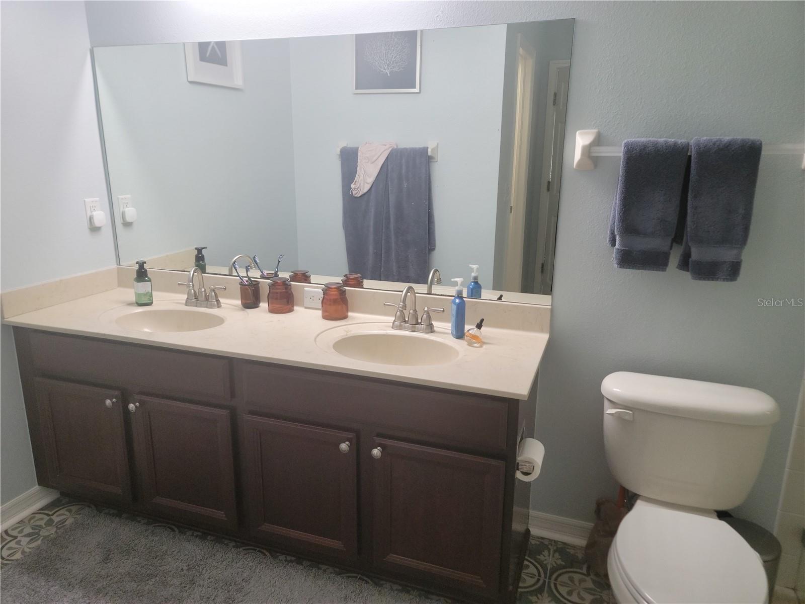 Master Bathroom Vanity