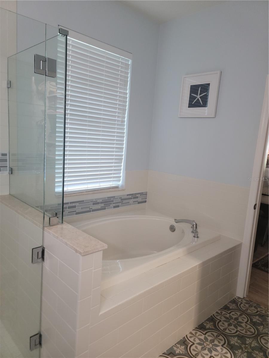 Master Bathroom Tub