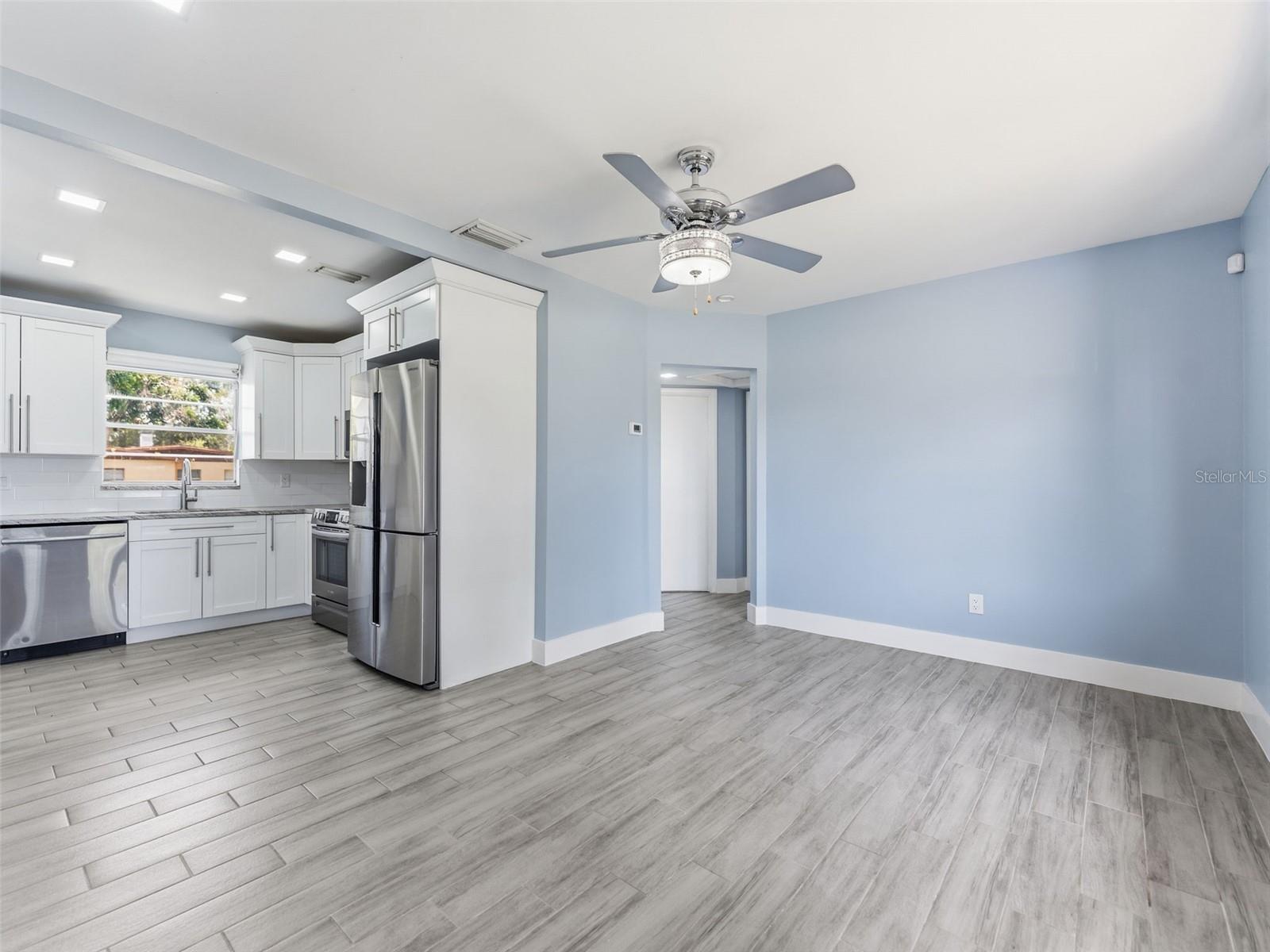 Living room, kitchen