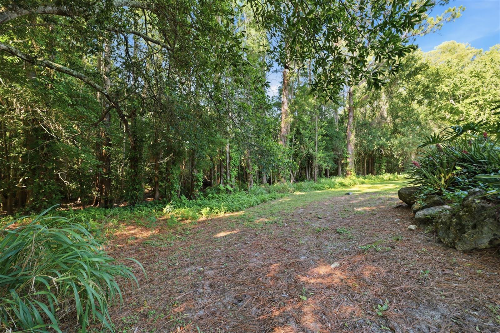 W7886572