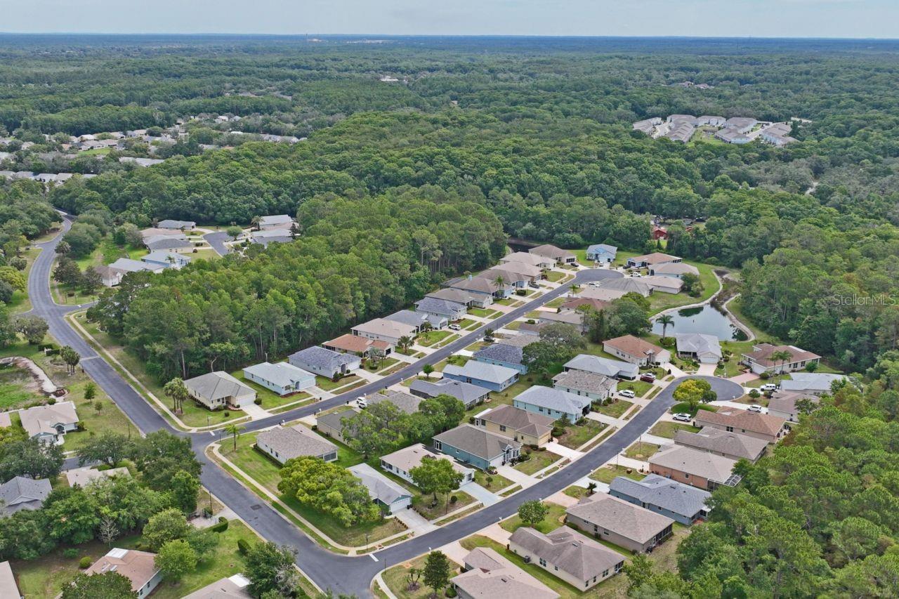 COMMUNITY DRONE VIEW