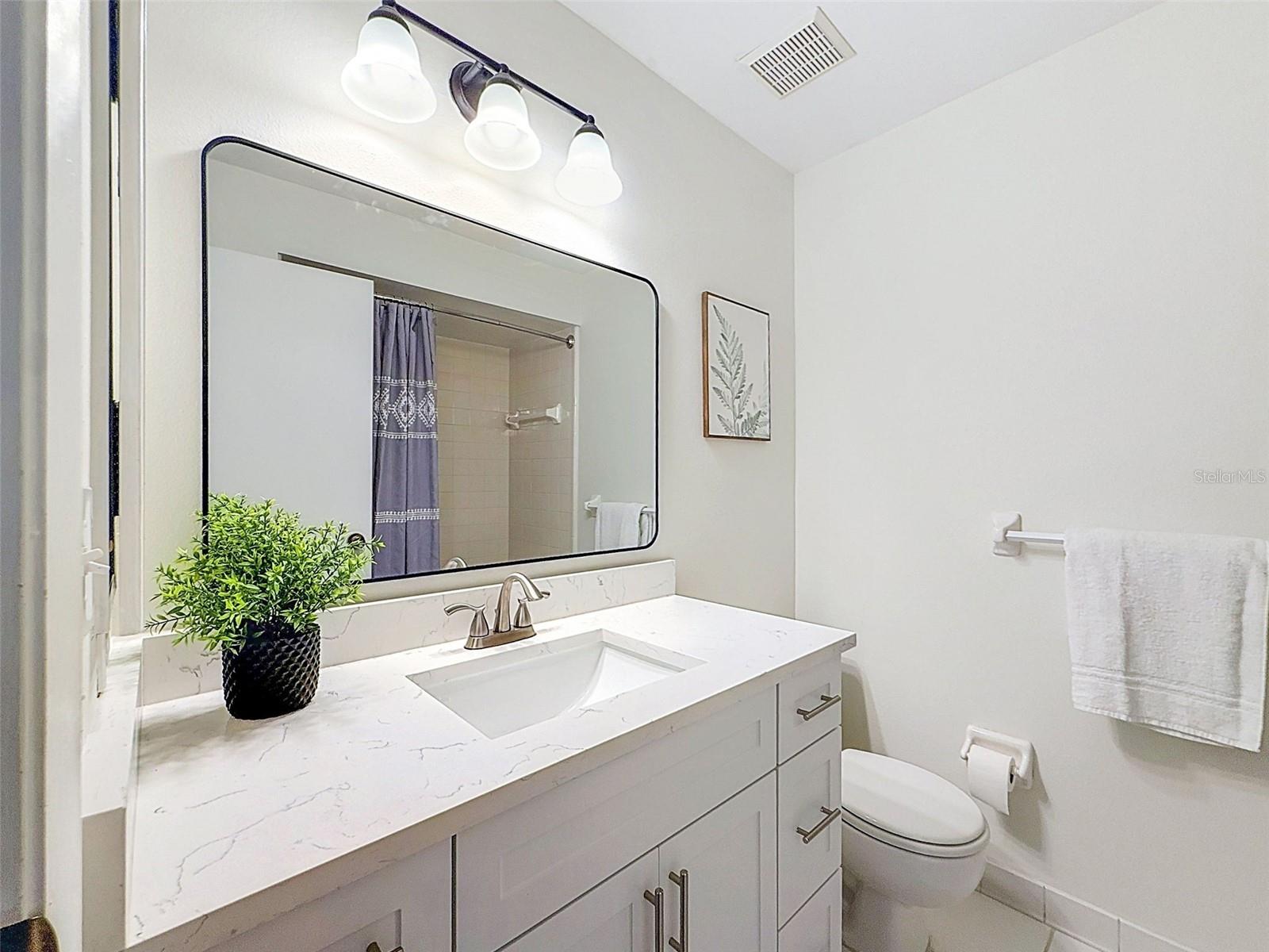 Hallway Bathroom
