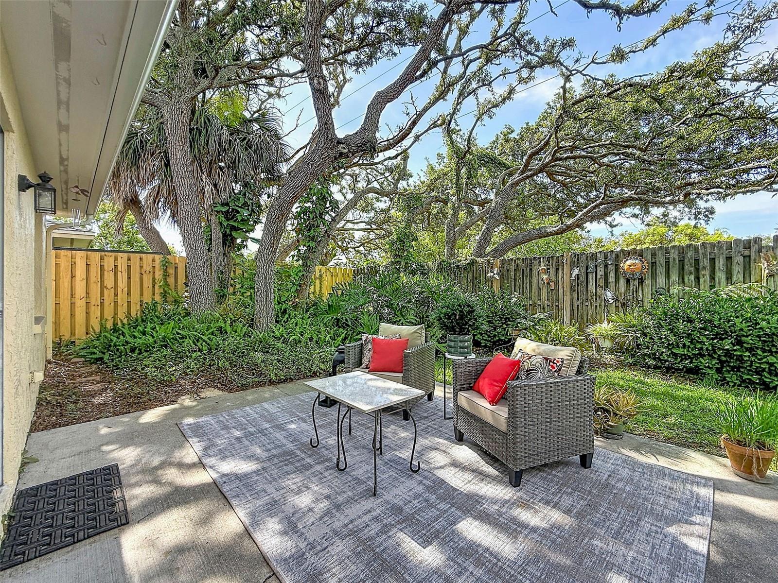 Backyard